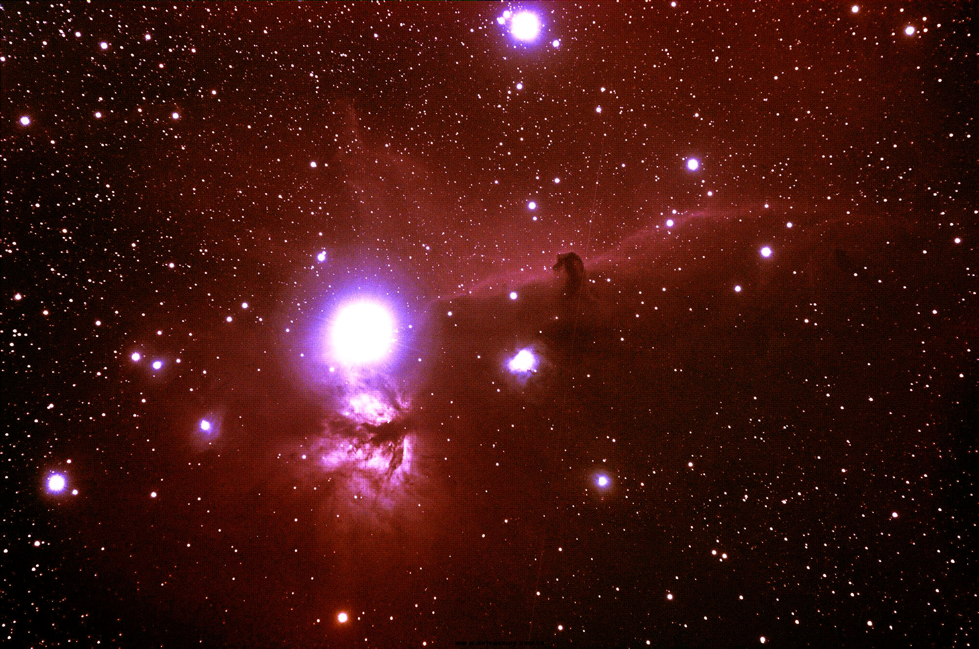 121641otzfol286l4283cl.jpg