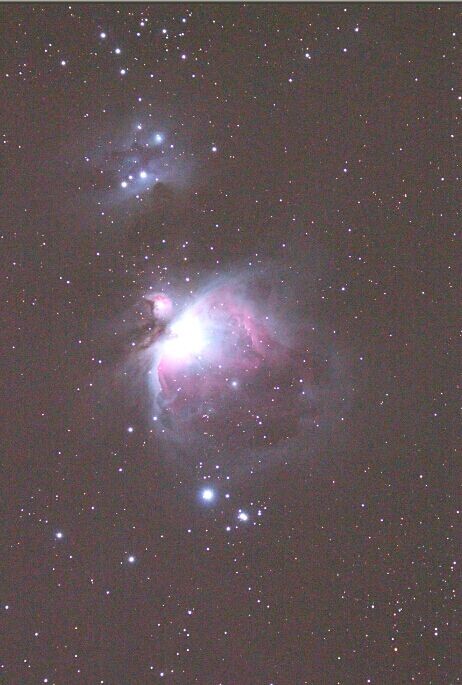 M42单张.jpg