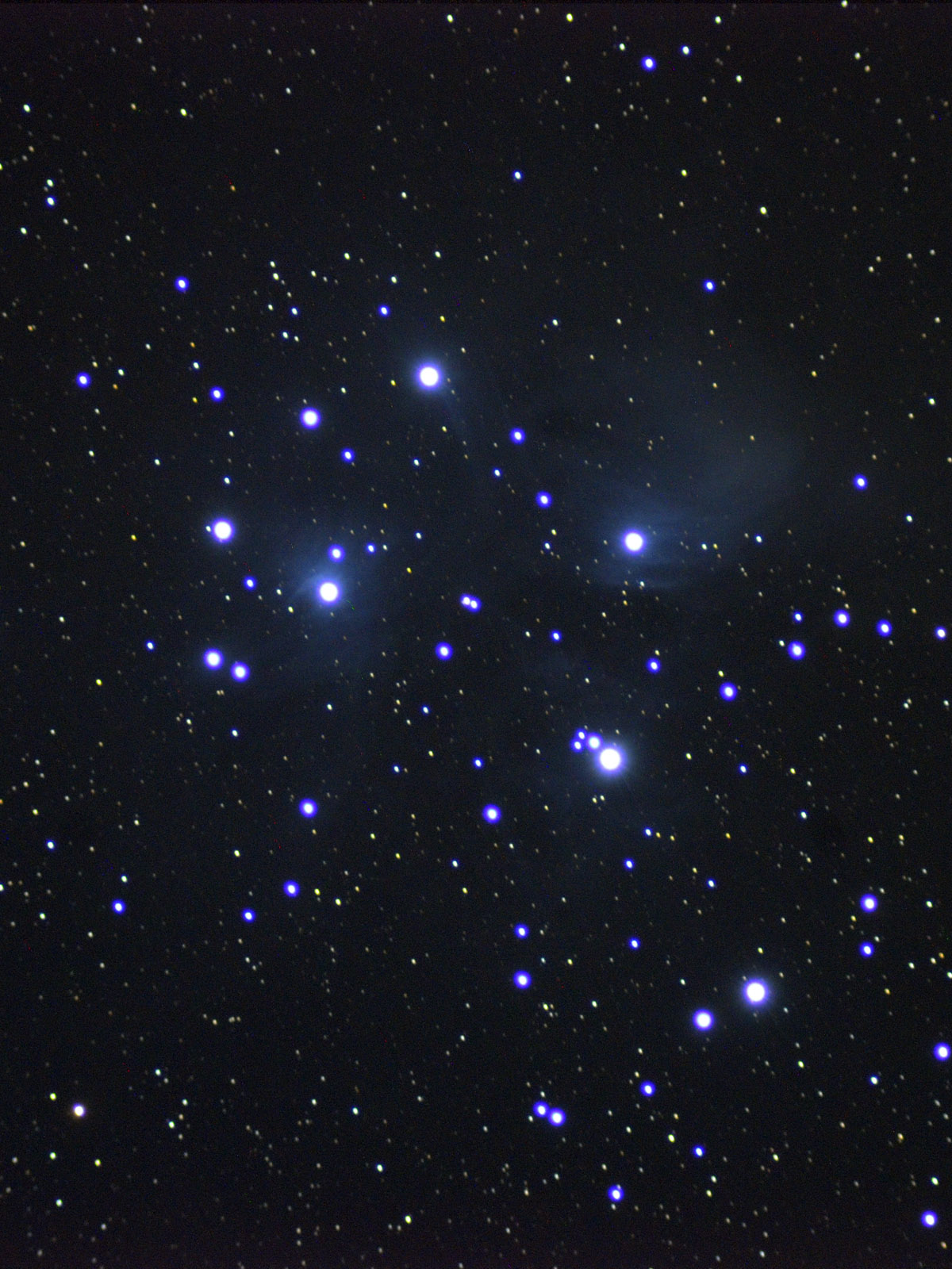 M45 1129.jpg