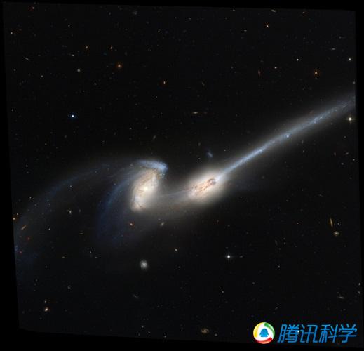 这是两个相互作用的星系，被科学家称为老鼠星系。它们的命运已经注定要在未来合并成为一个融合星系。照片中 ...