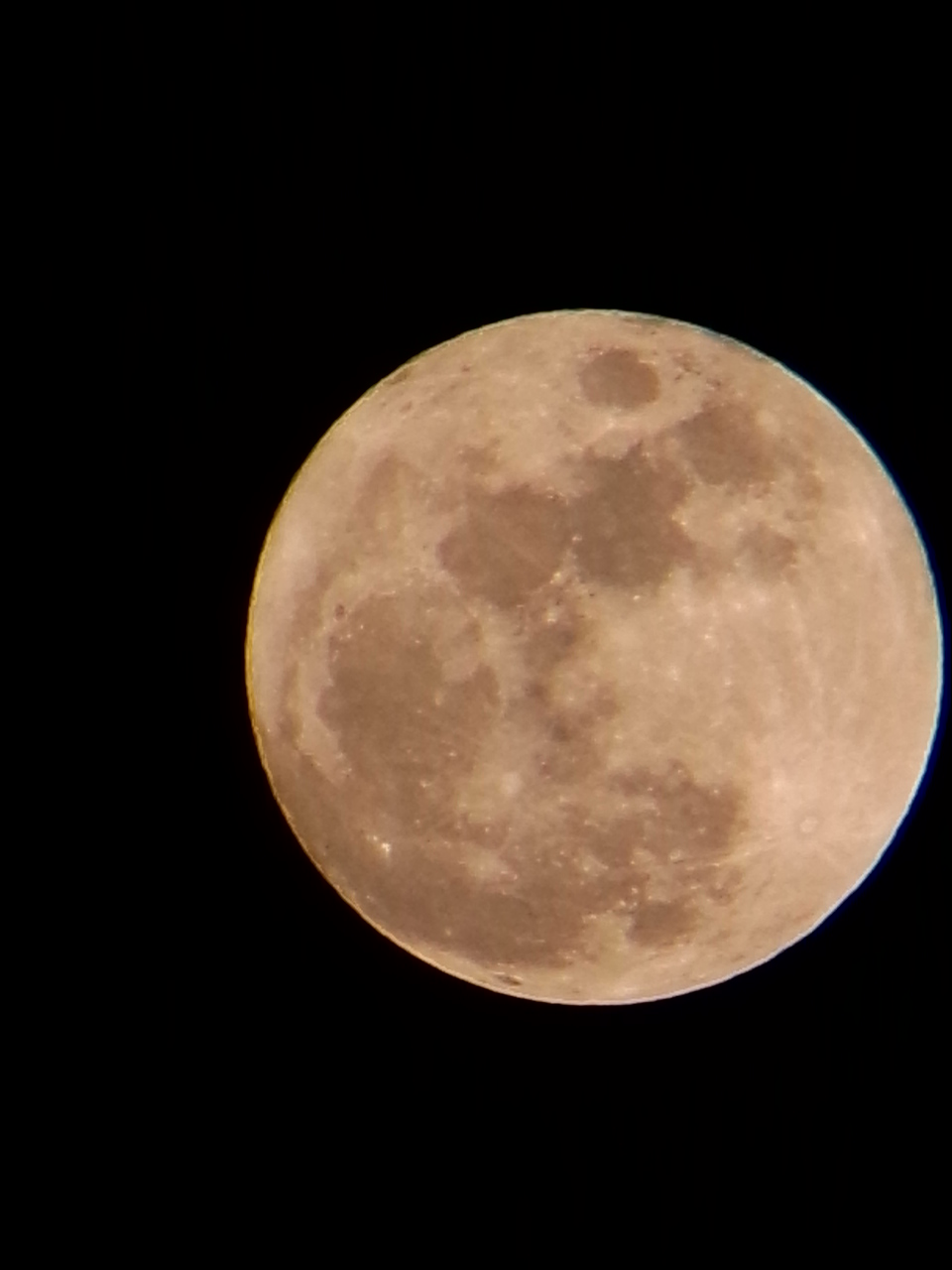 P41206-201109.jpg