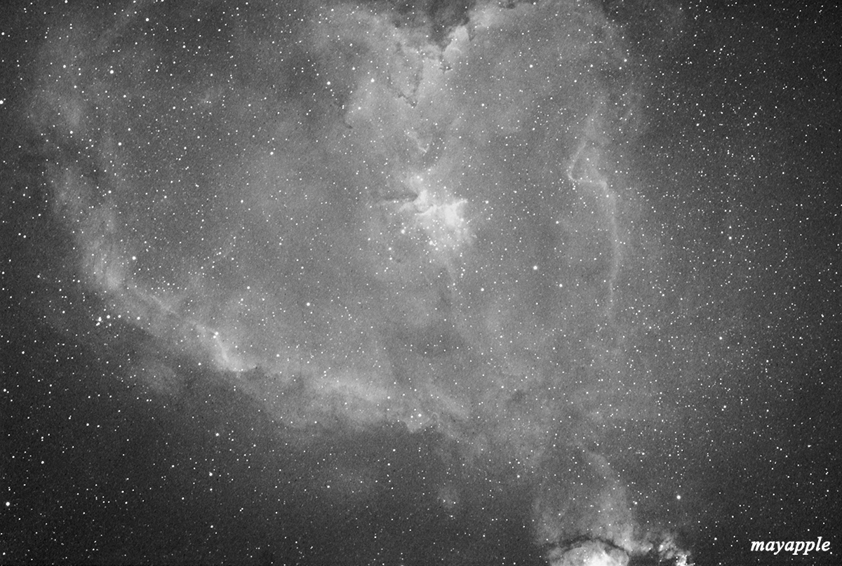 ic1805_1200.jpg