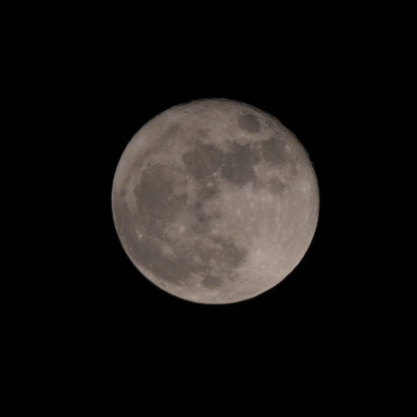 CYN_2126.JPG