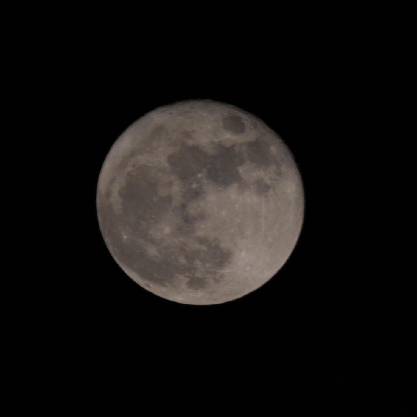 CYN_2128.JPG