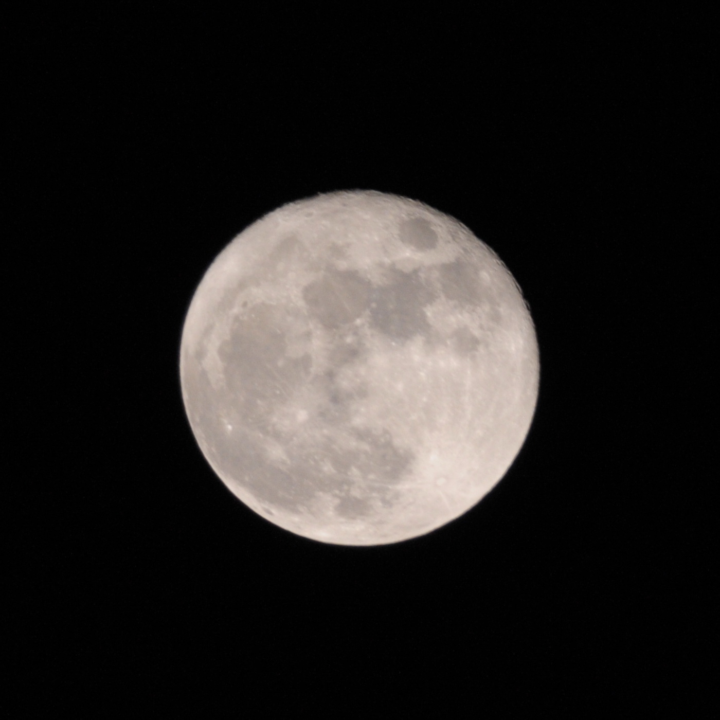 CYN_2143.JPG