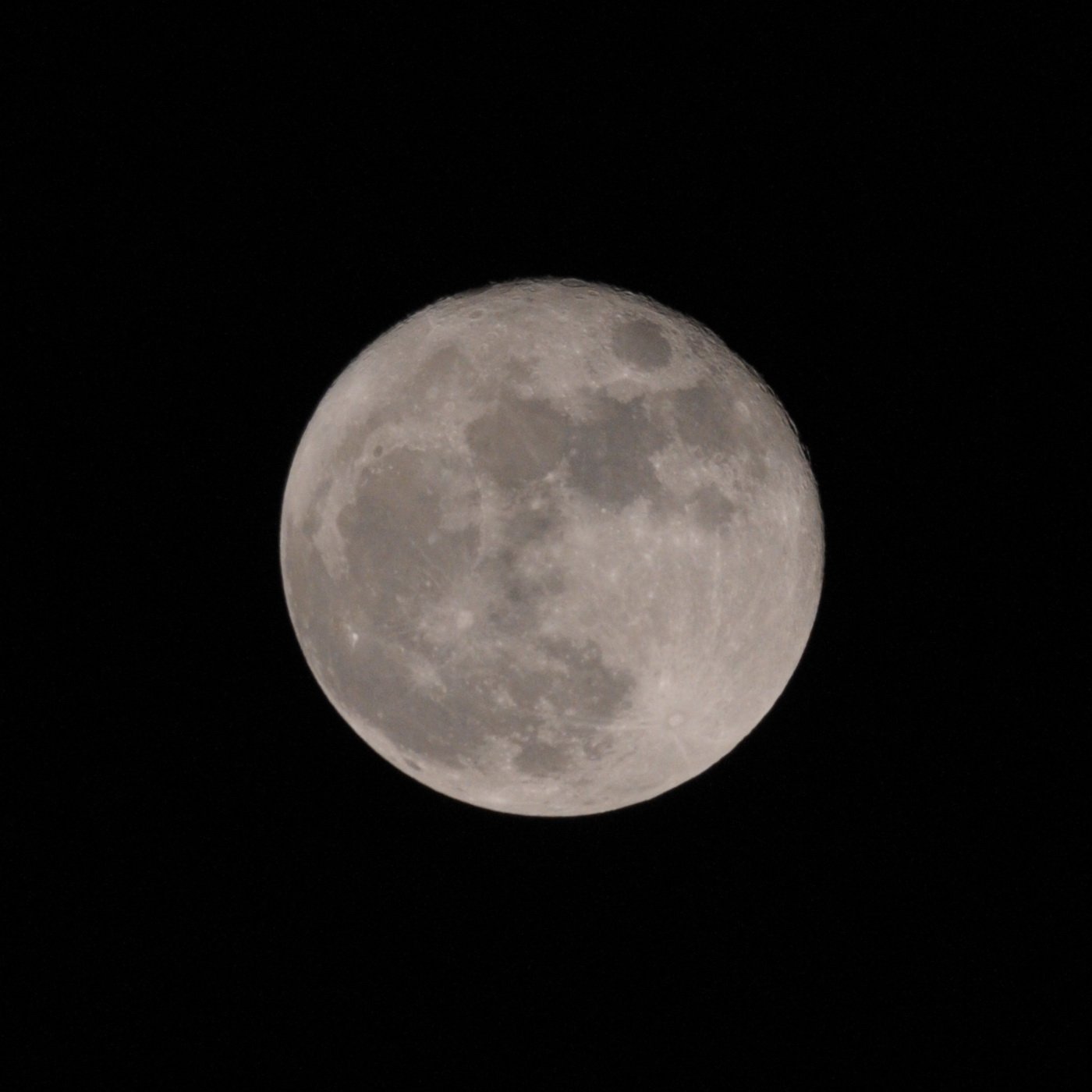 CYN_2148.JPG