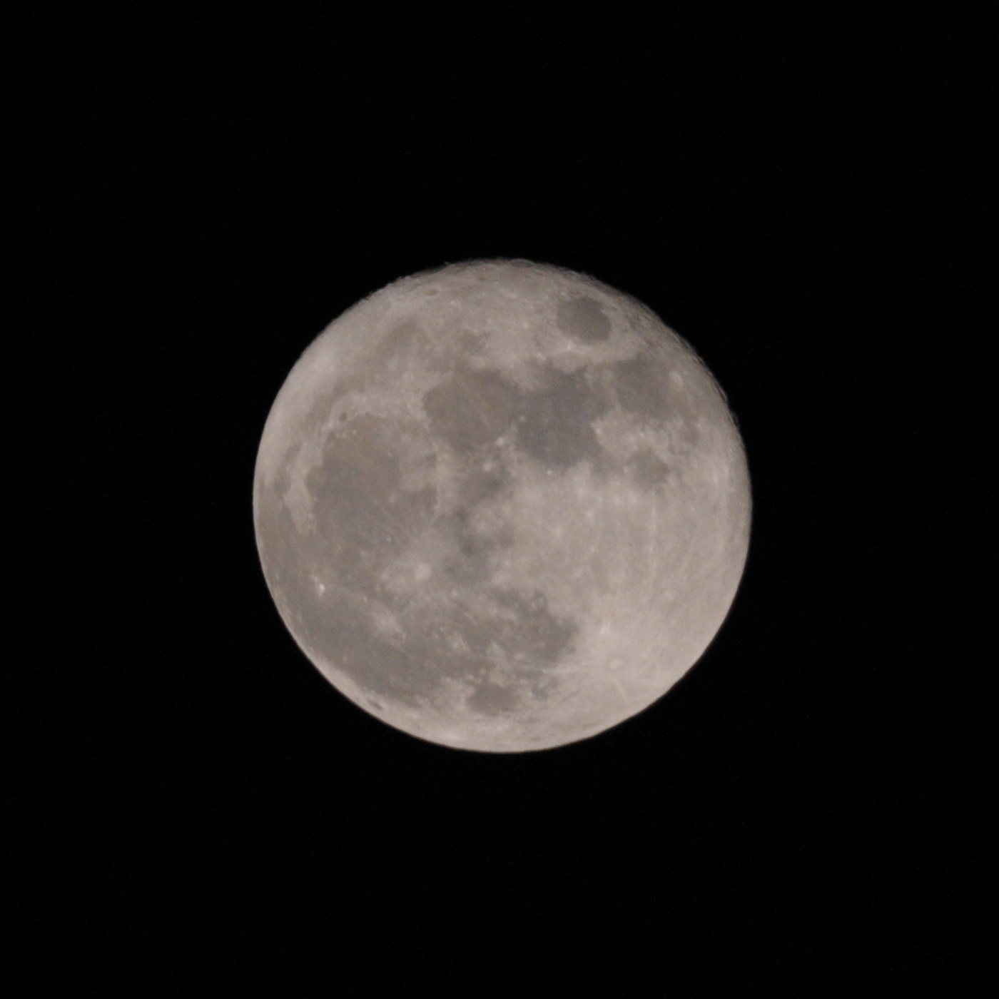 CYN_2147.JPG