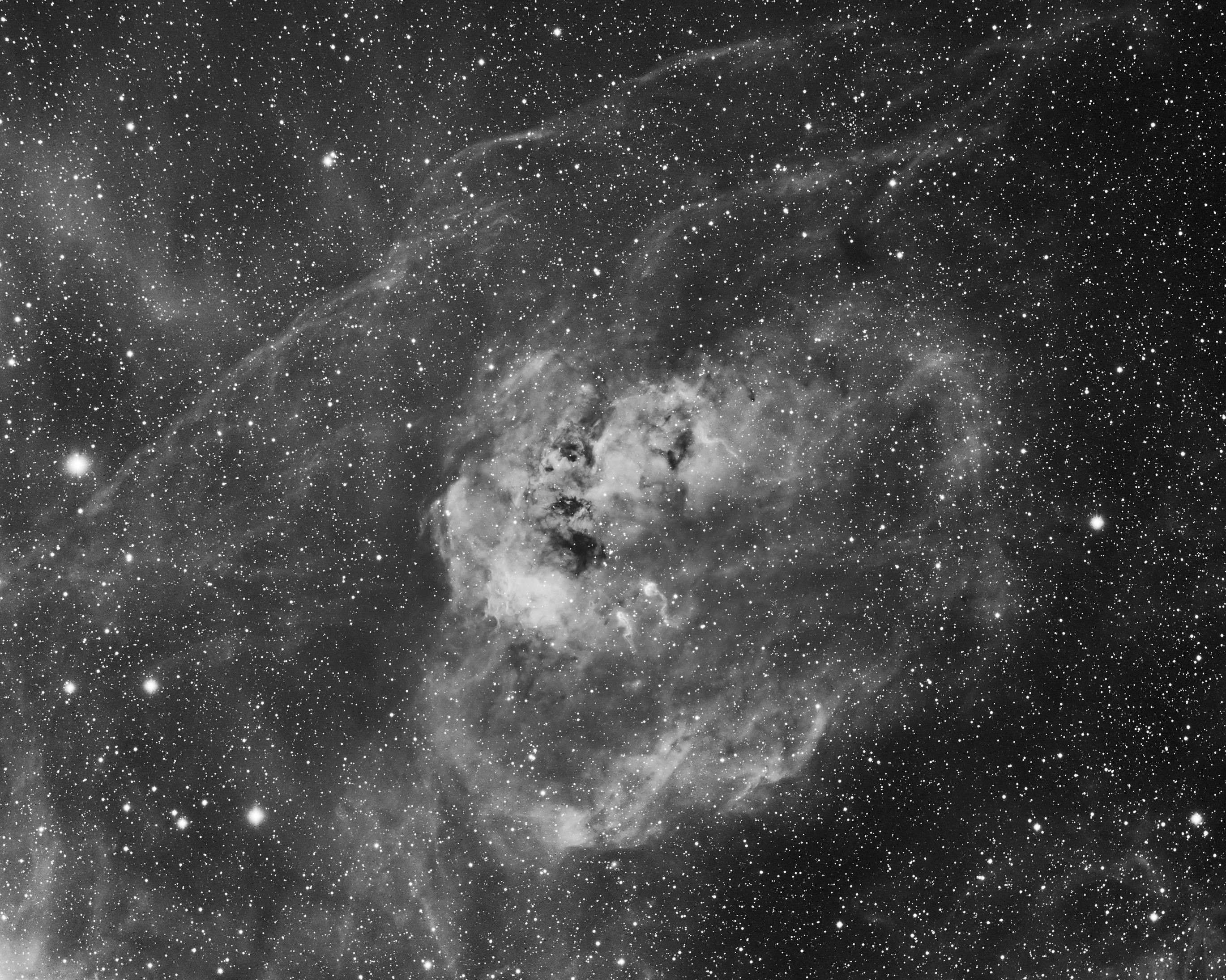 IC 410 small.jpg