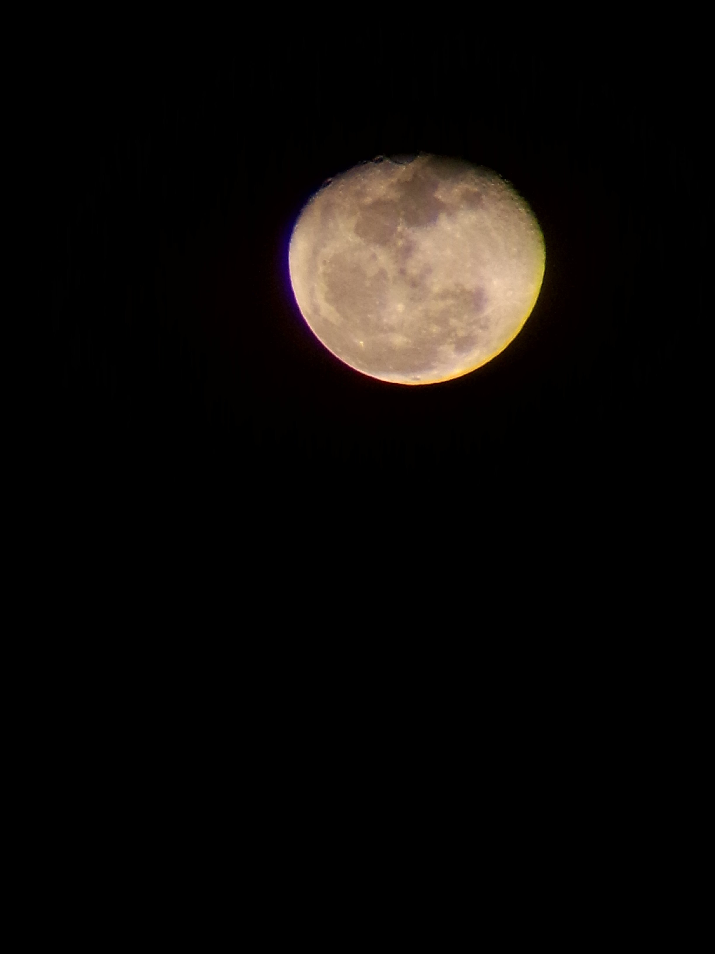 P41209-214533.jpg