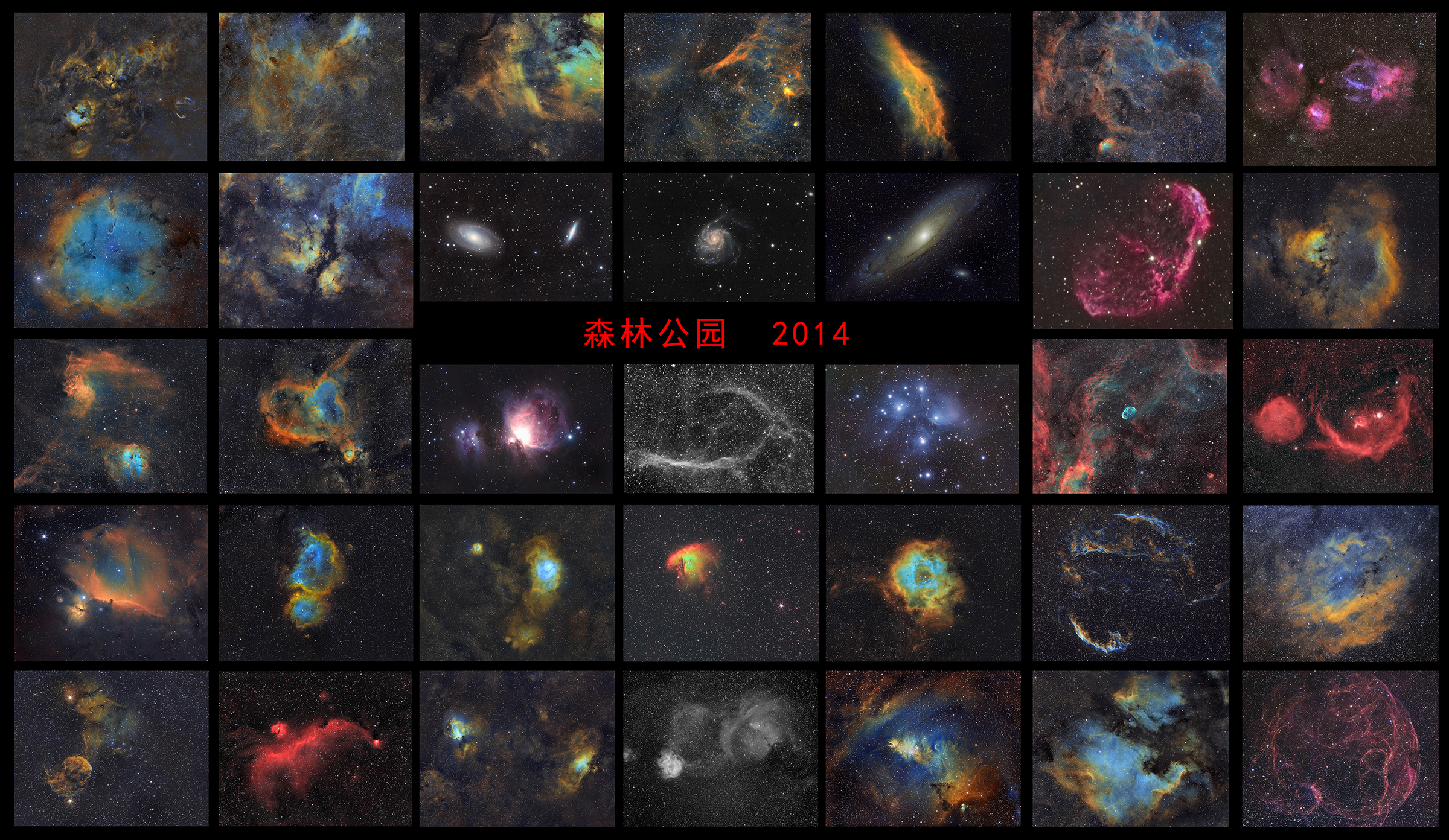 2014年.jpg
