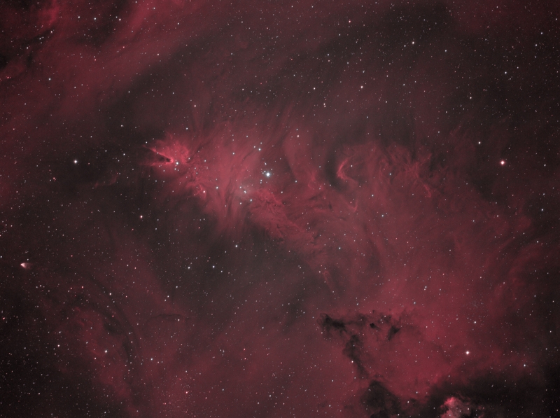 ngc2264圣诞树 hoo.jpg