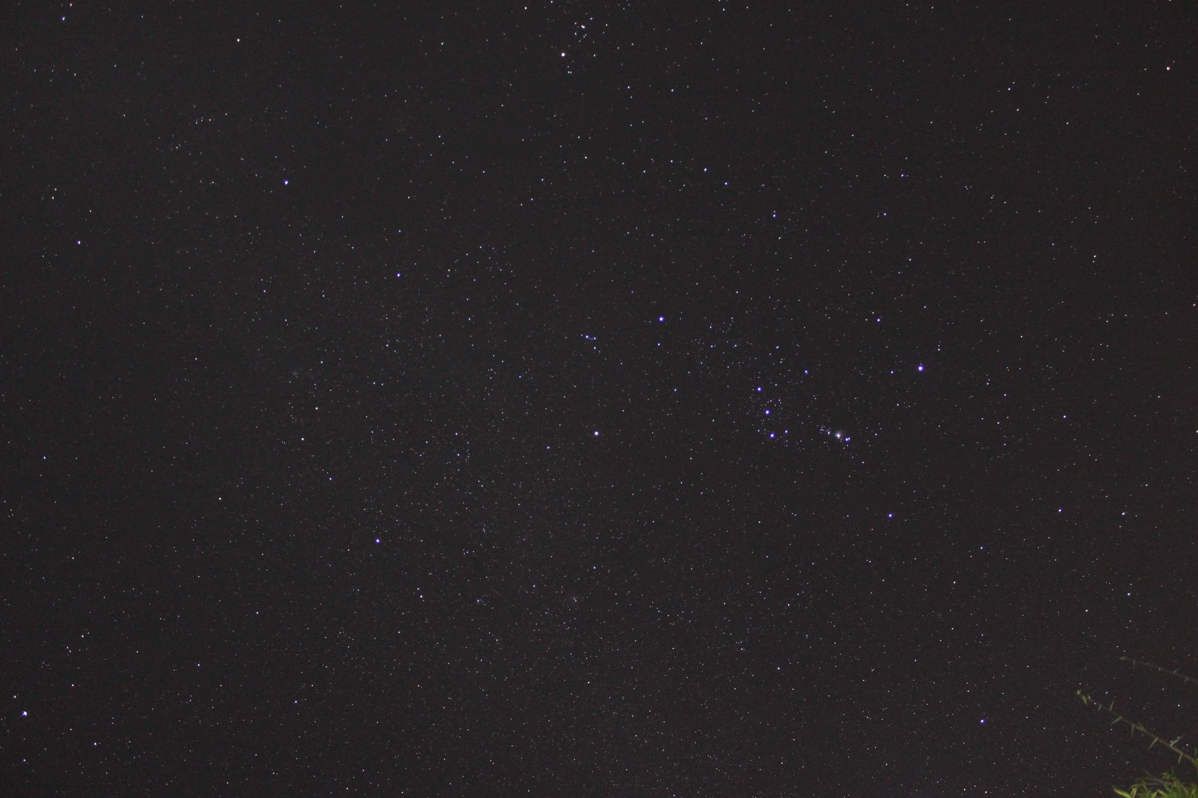 ISO1600  F3.5   35S