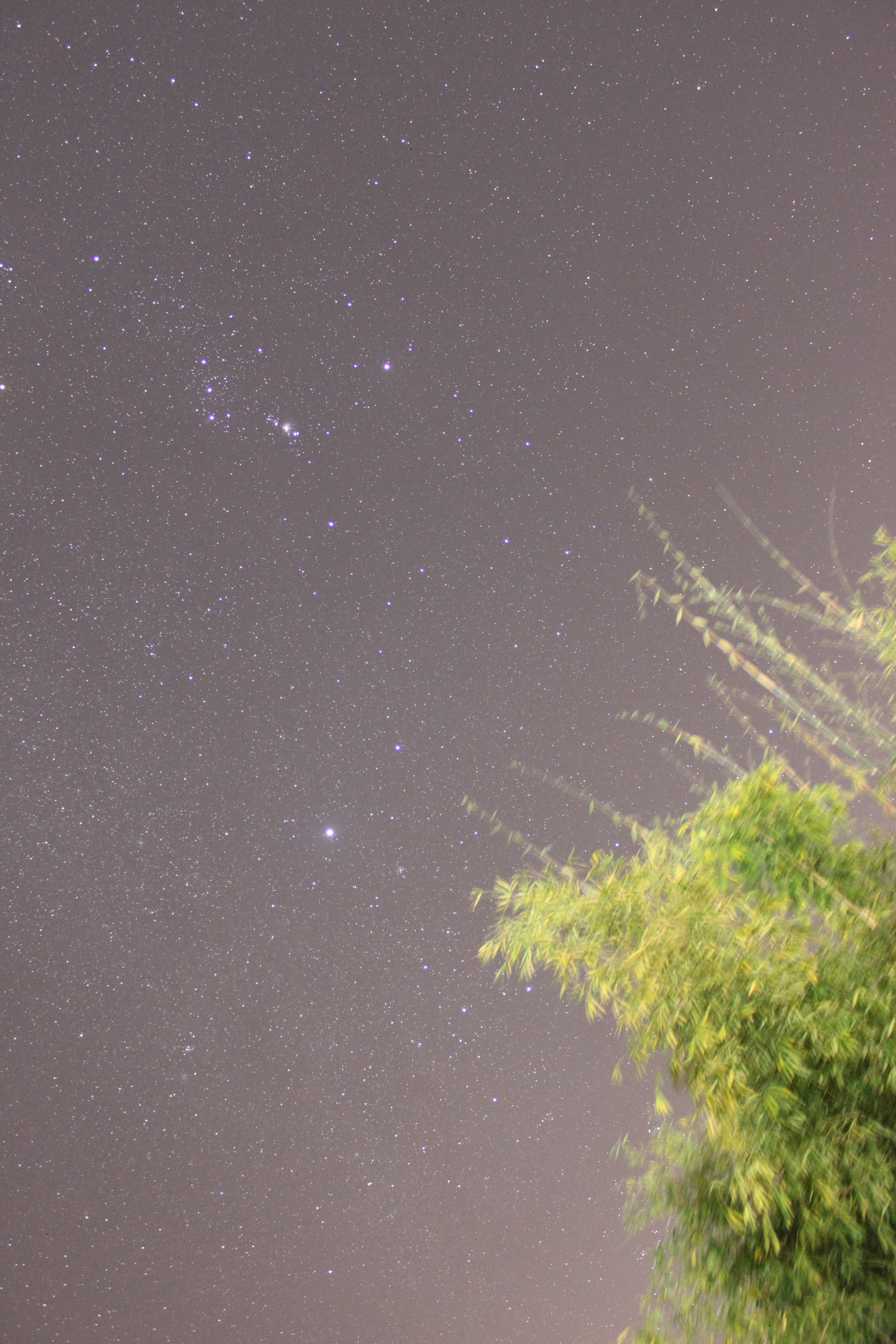 ISO1600  F3.5  123S