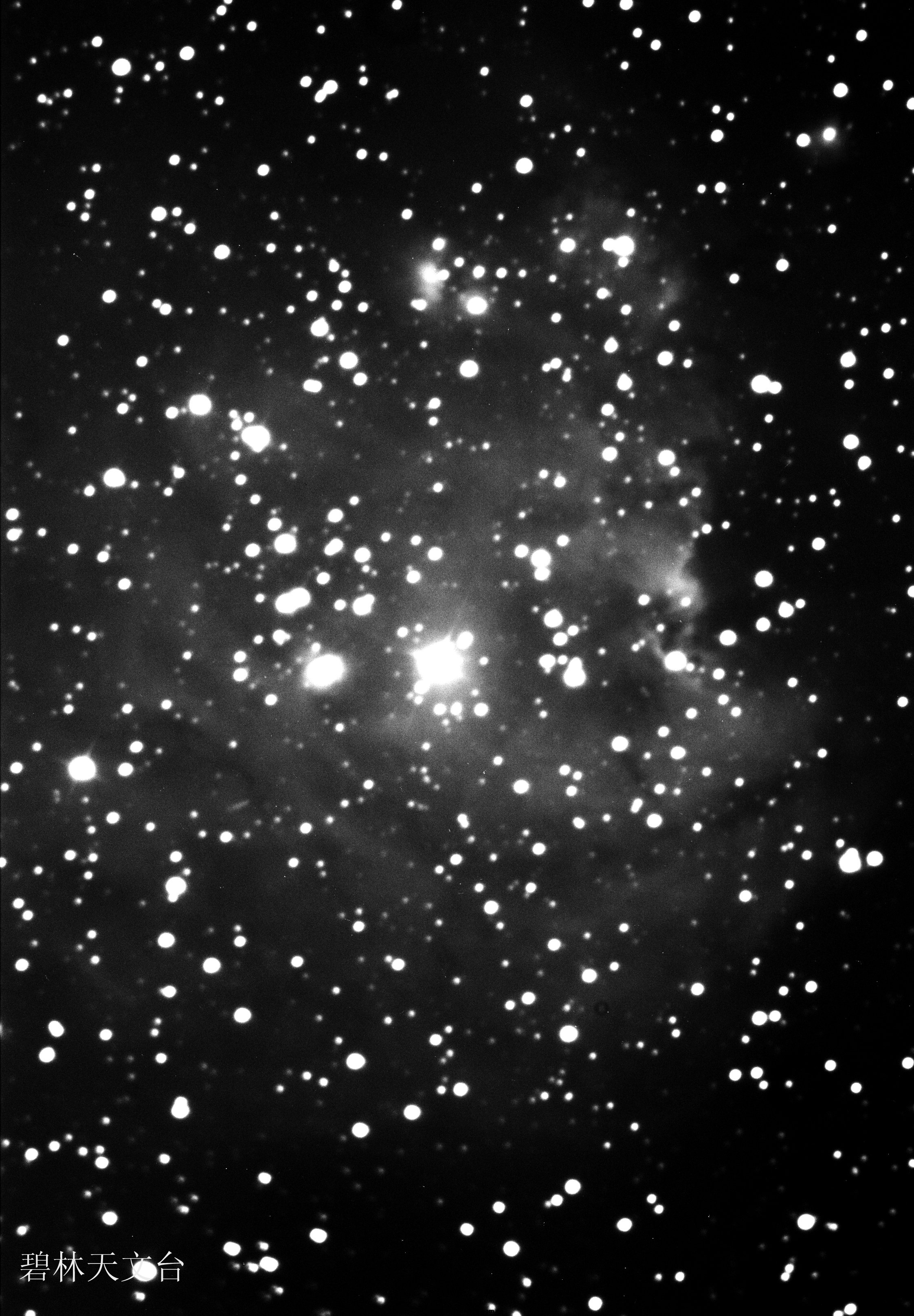ngc2175猴头星云ap.jpg