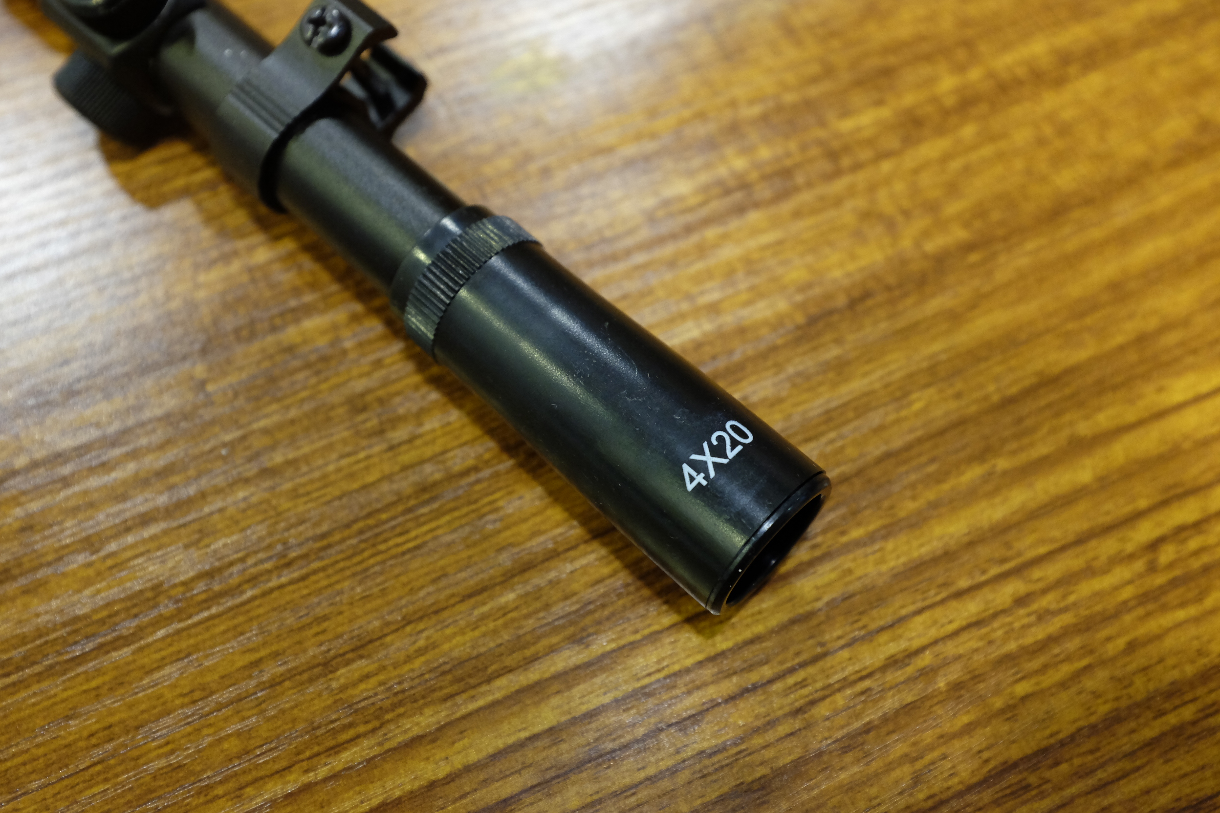 _DSF5250.JPG