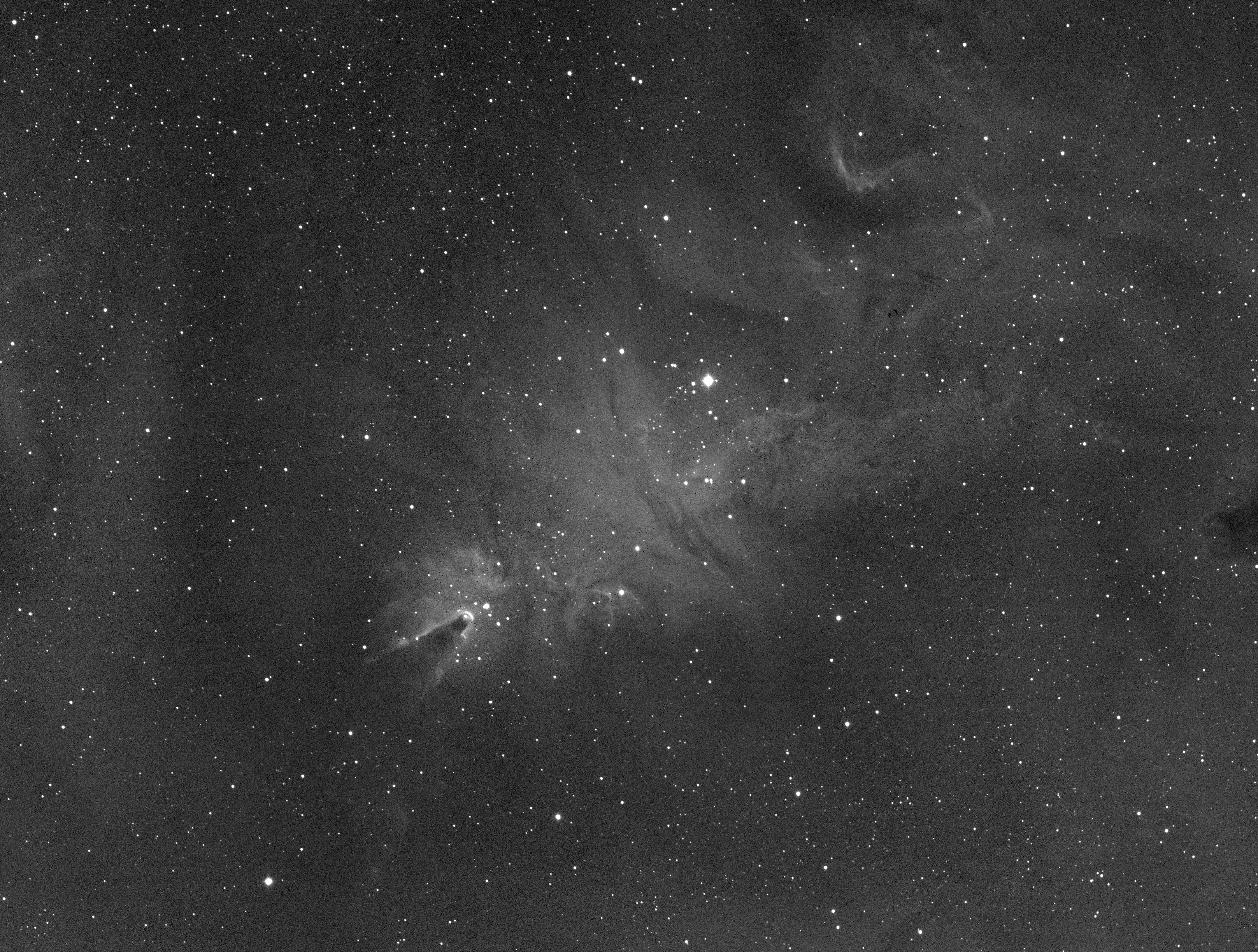 NGC2264(oc)-ps.jpg