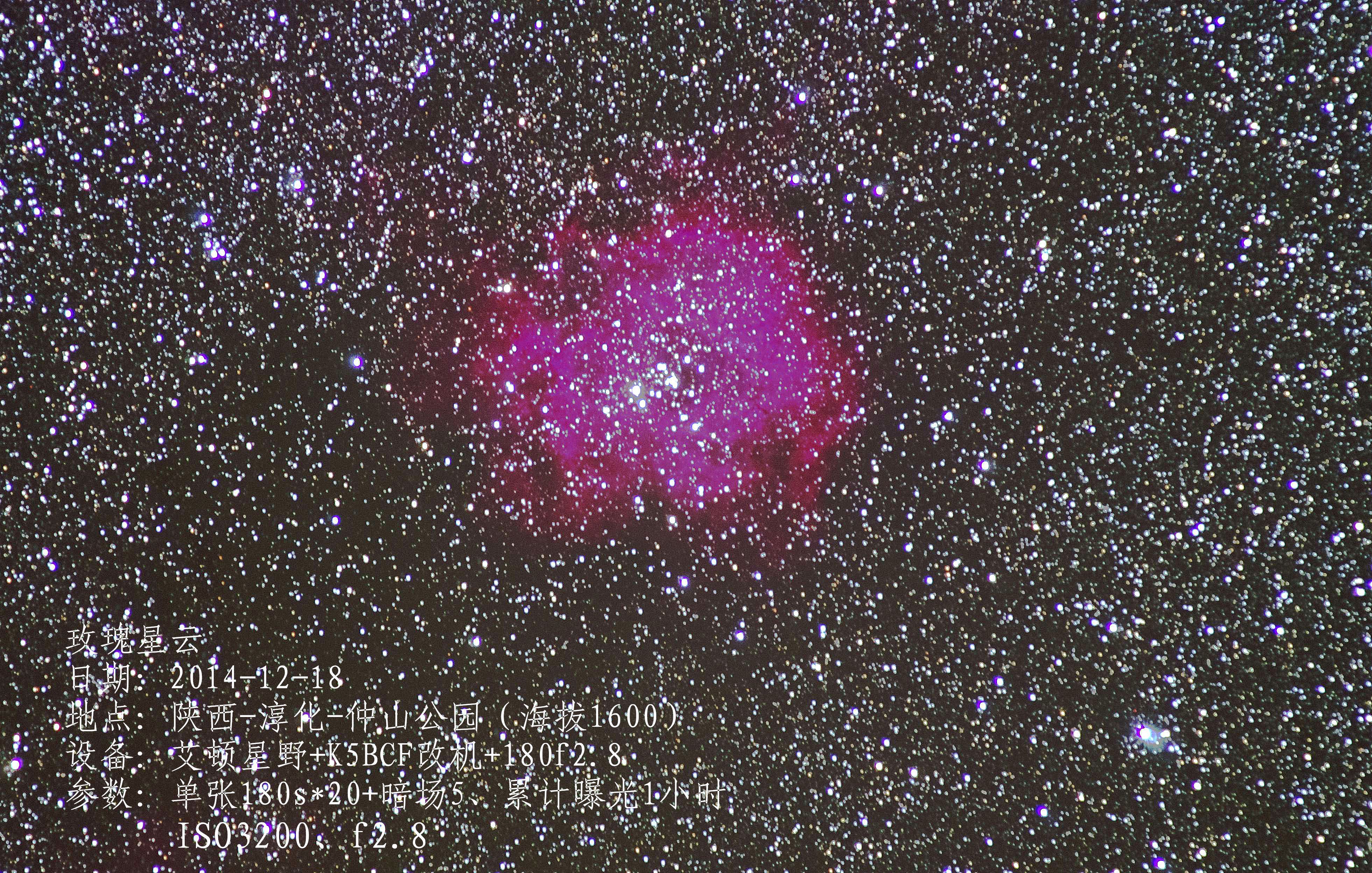 玫瑰_04.JPG
