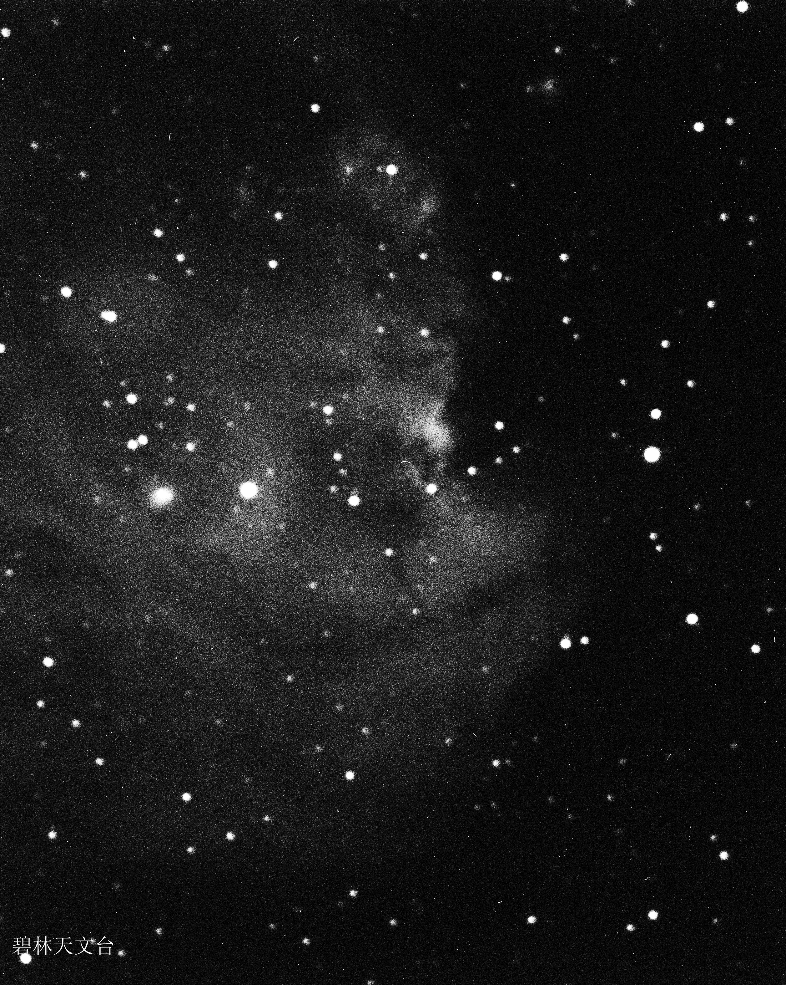 ngc2175猴头星云.jpg