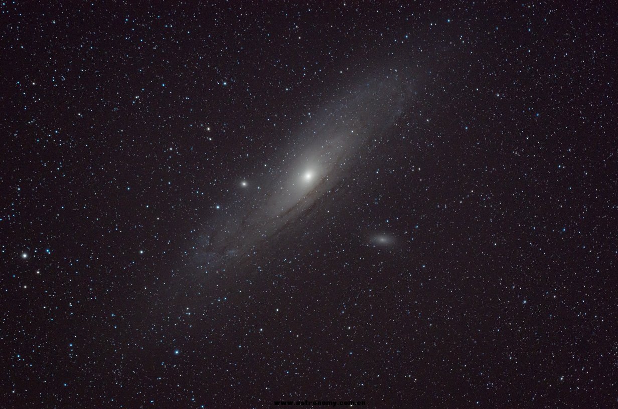 M31