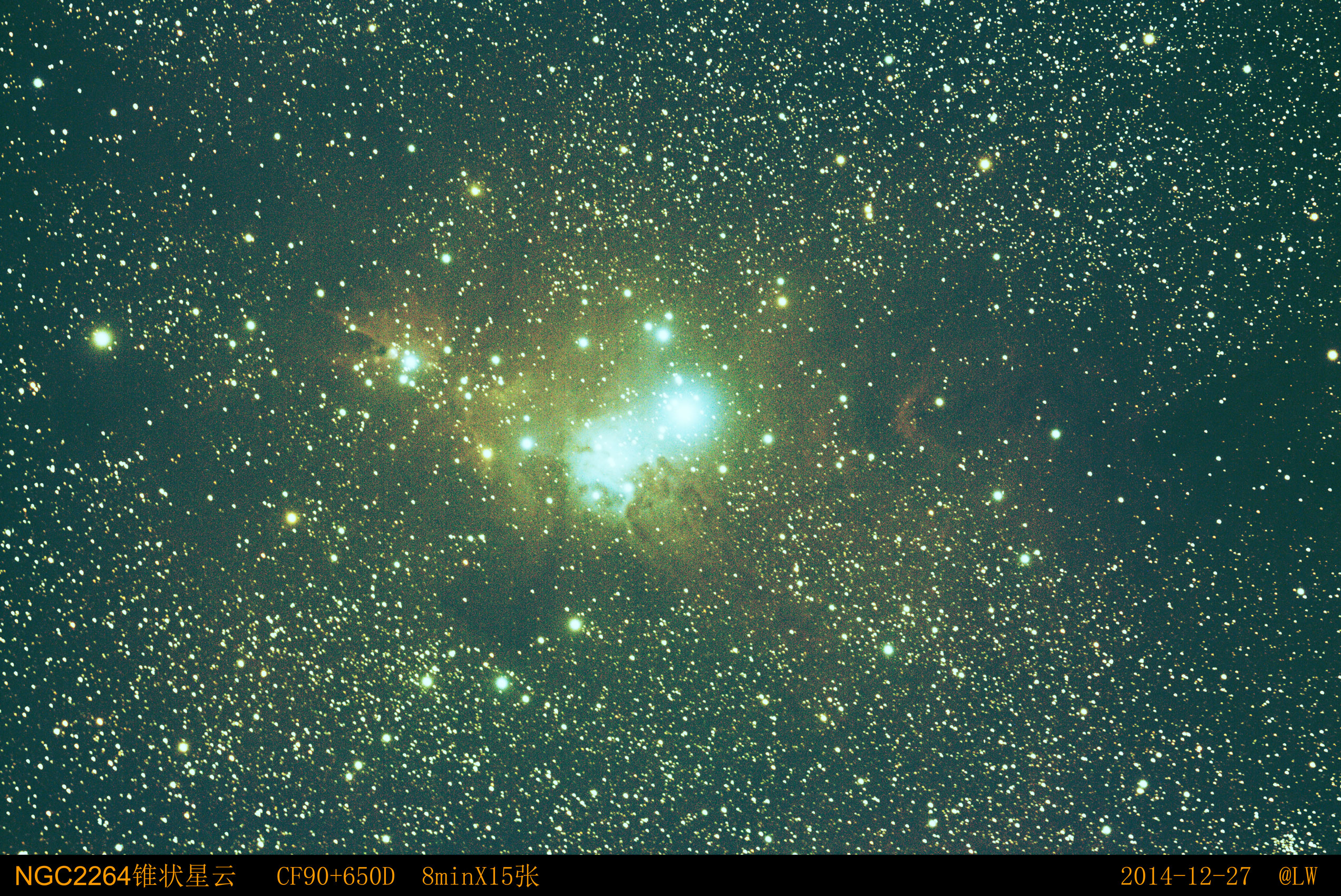 NGC2264.jpg