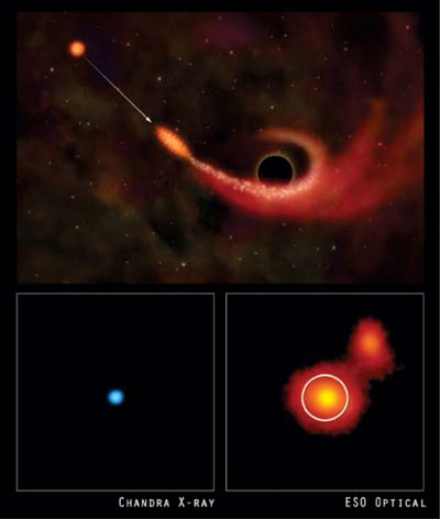 黑洞撕裂恒星.jpg