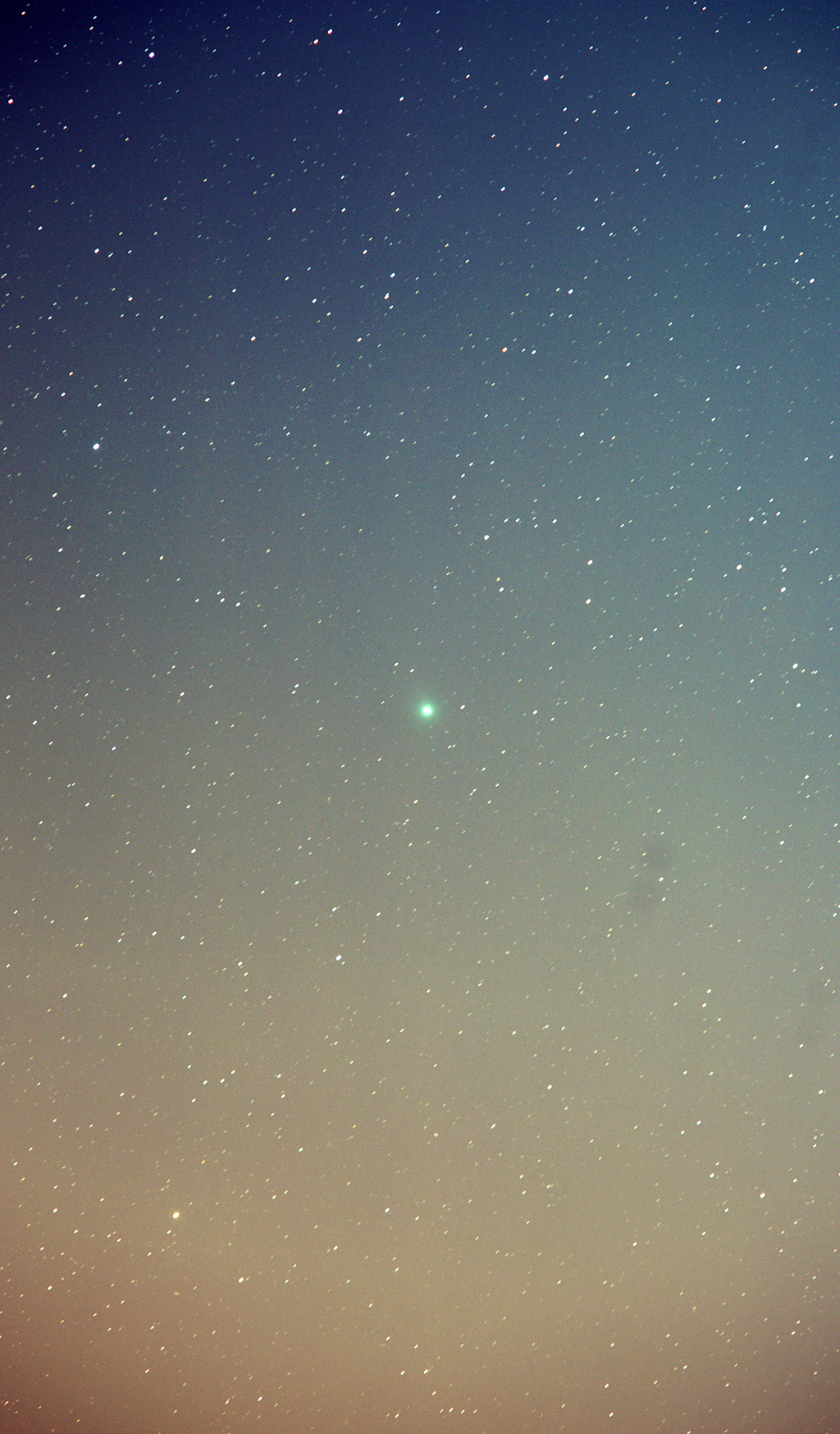 lovejoy q2.jpg