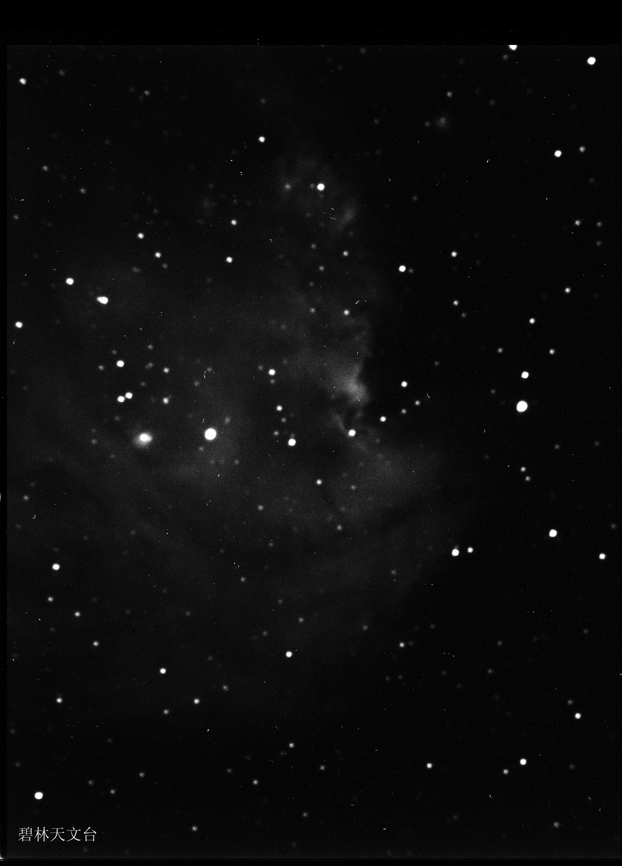 ngc2175a副本.jpg