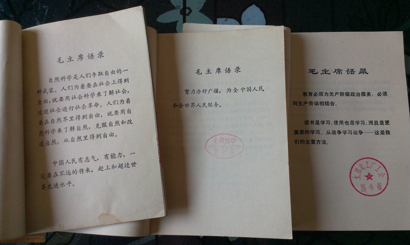 IMAG0620.jpg
