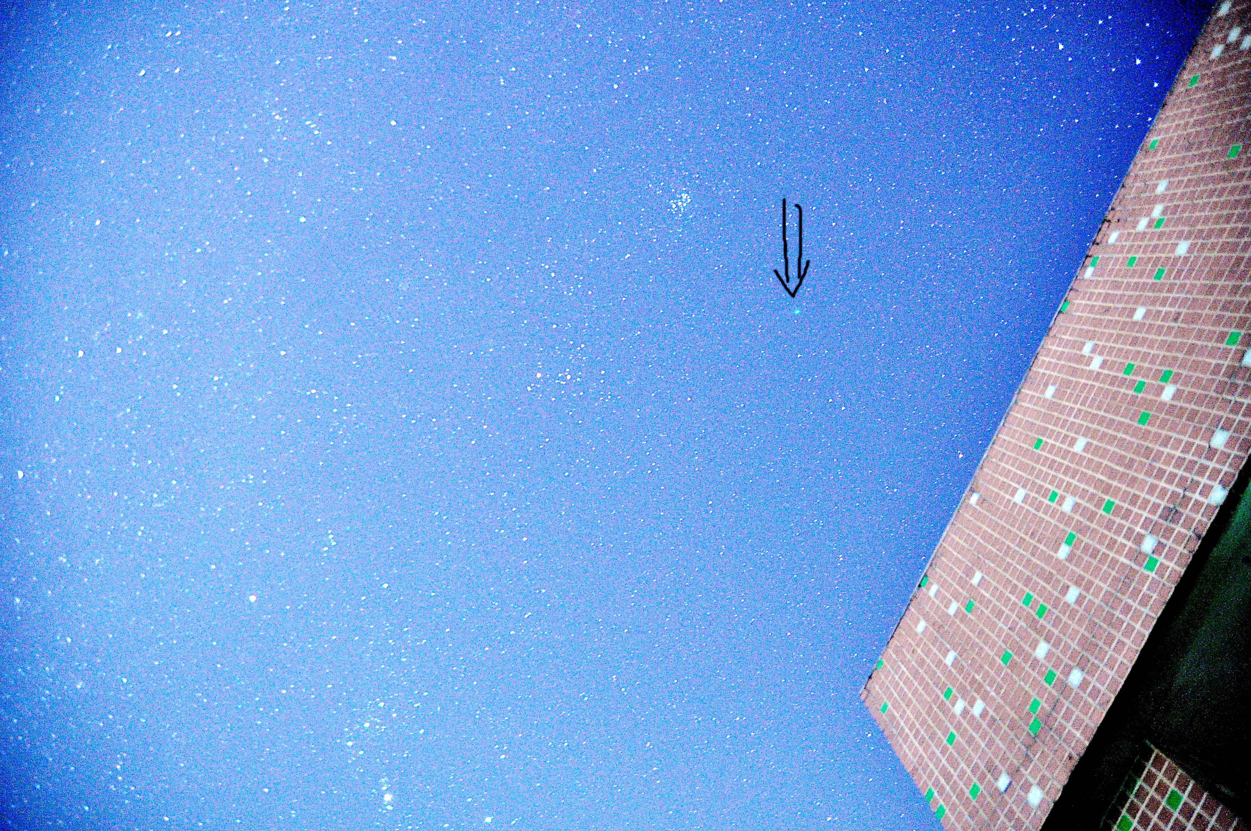 DSC_2606.JPG