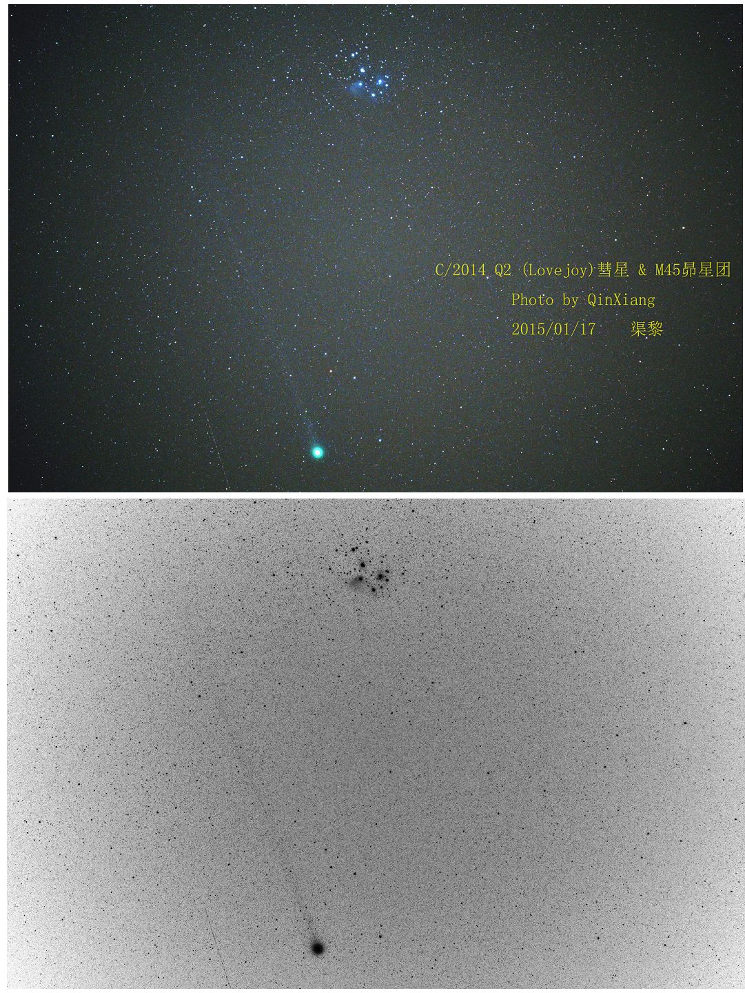 Lovejoy 02