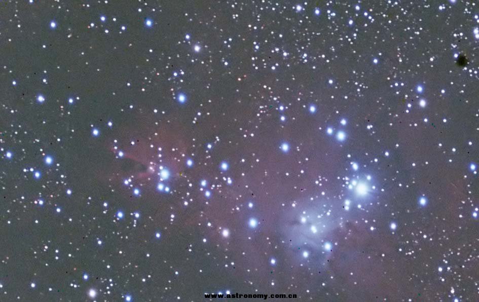 NGC2264_filtered.jpg