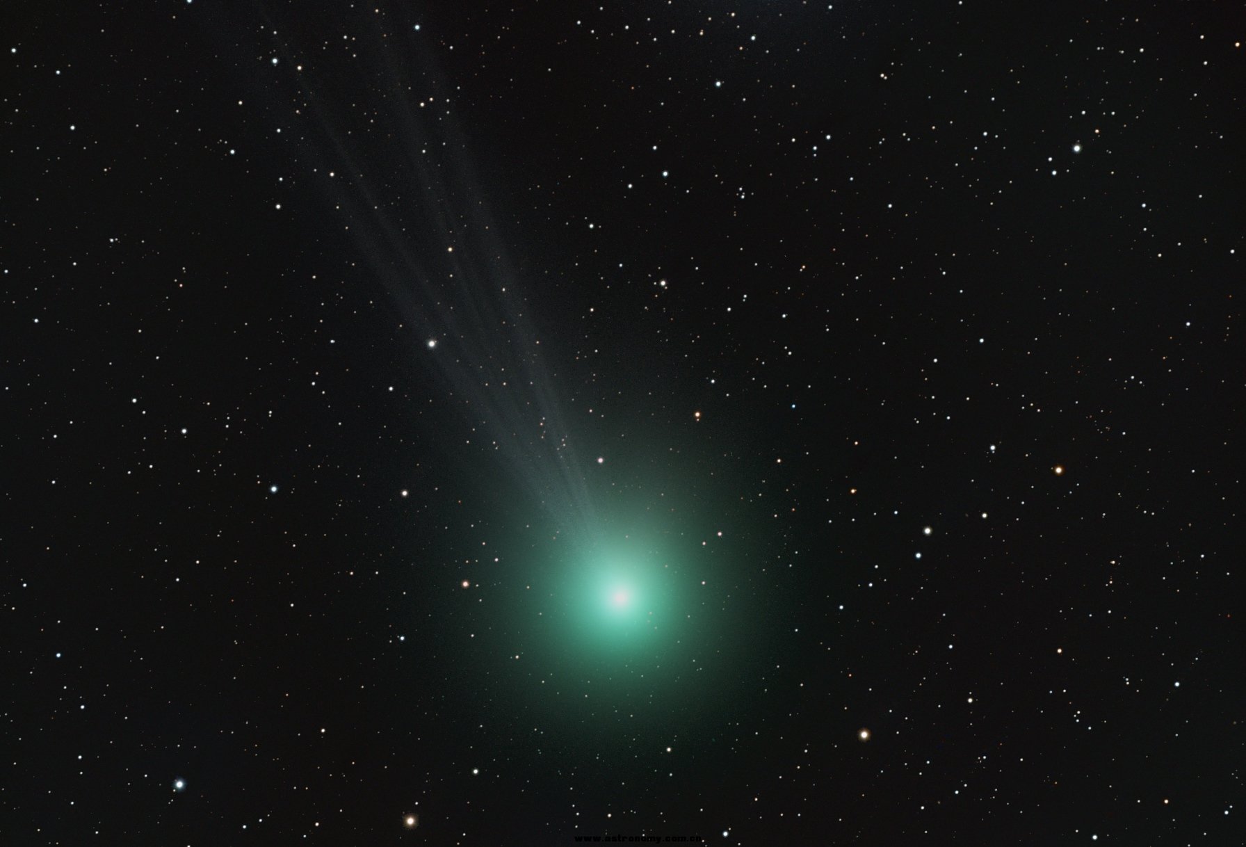 Comet Star LRGB.jpg