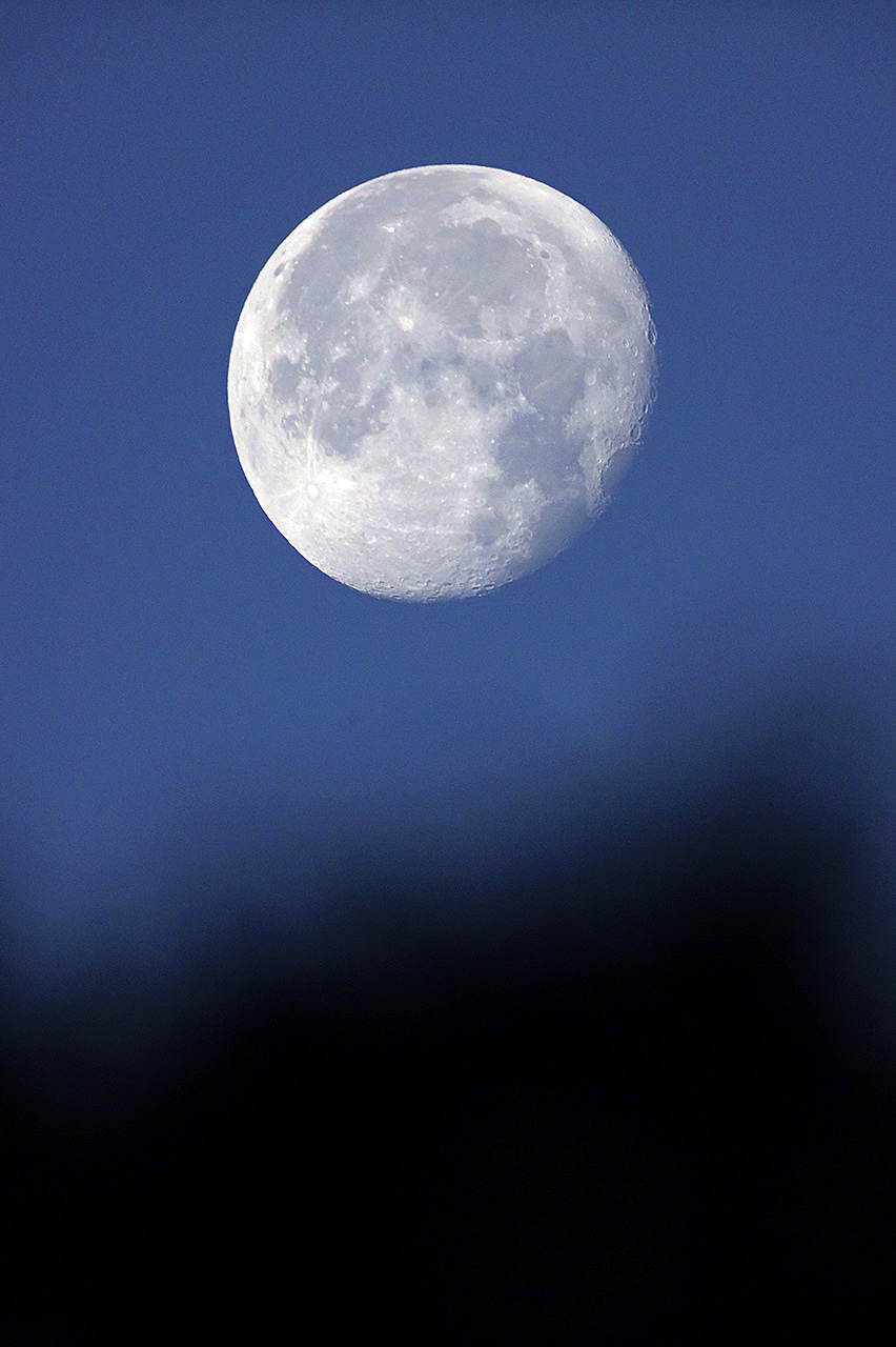 DSC00396m.jpg