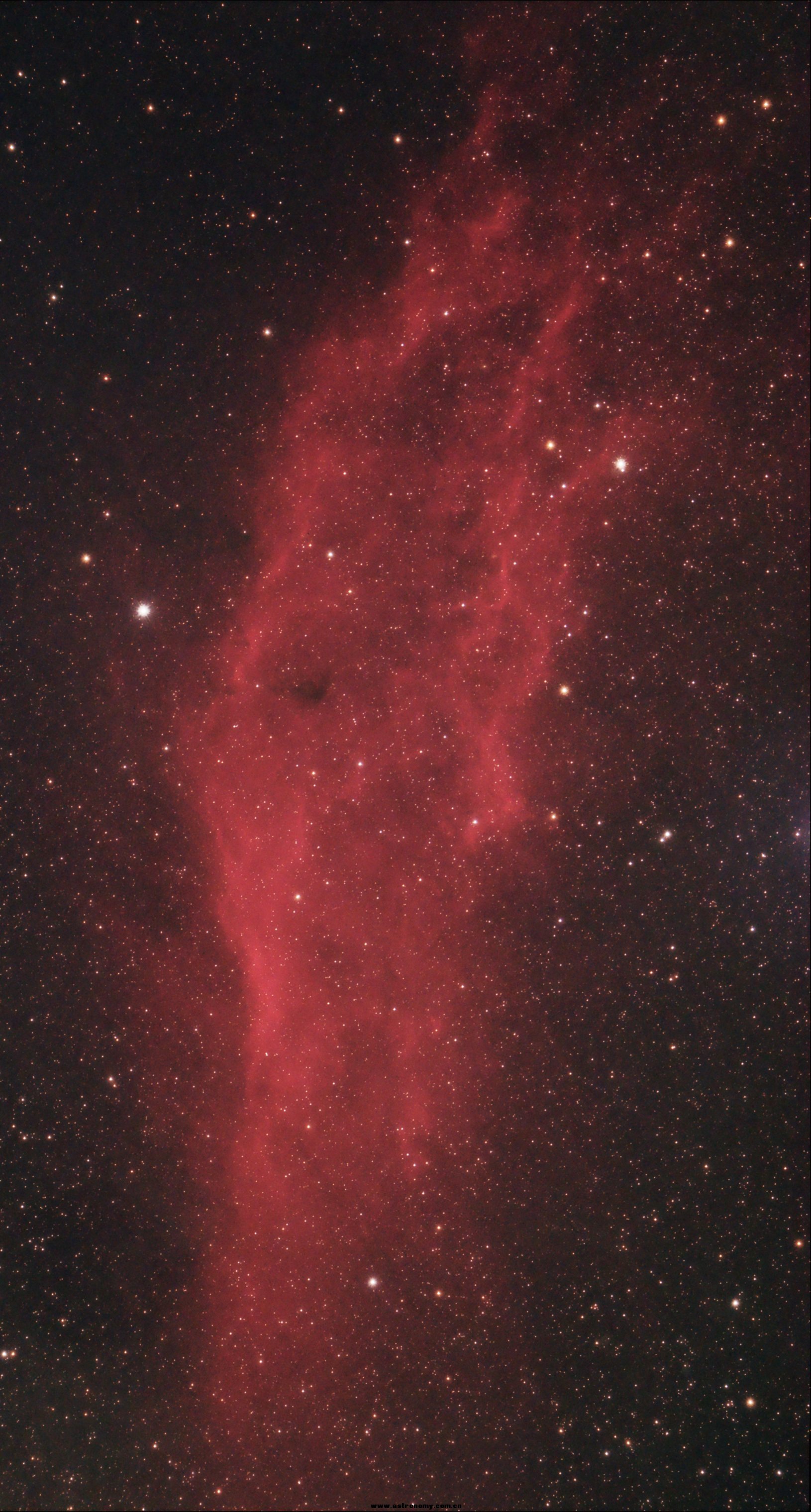 NGC1499缩星.jpg