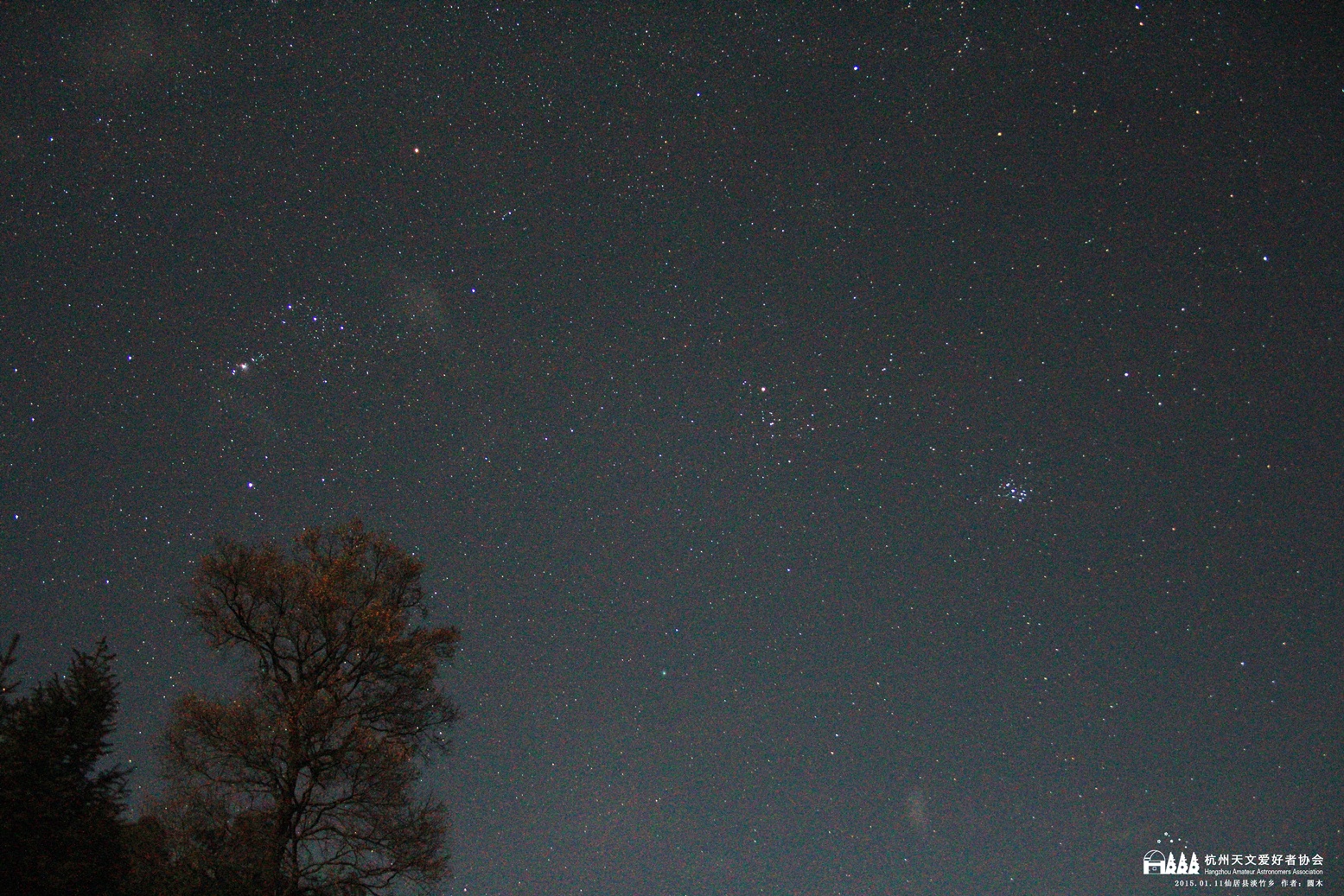 1 大树与猎户座(左上角)，七姐妹星团(右)，lovejoy彗星(中间偏下但绿色).JPG.jpg