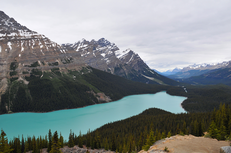 peyto lake，这个湖翡翠般的颜色最纯粹，国家公园里的lake全是这种颜色