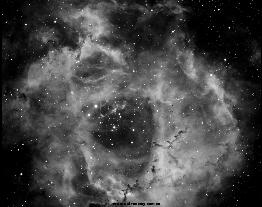 NGC2237 Ha×7