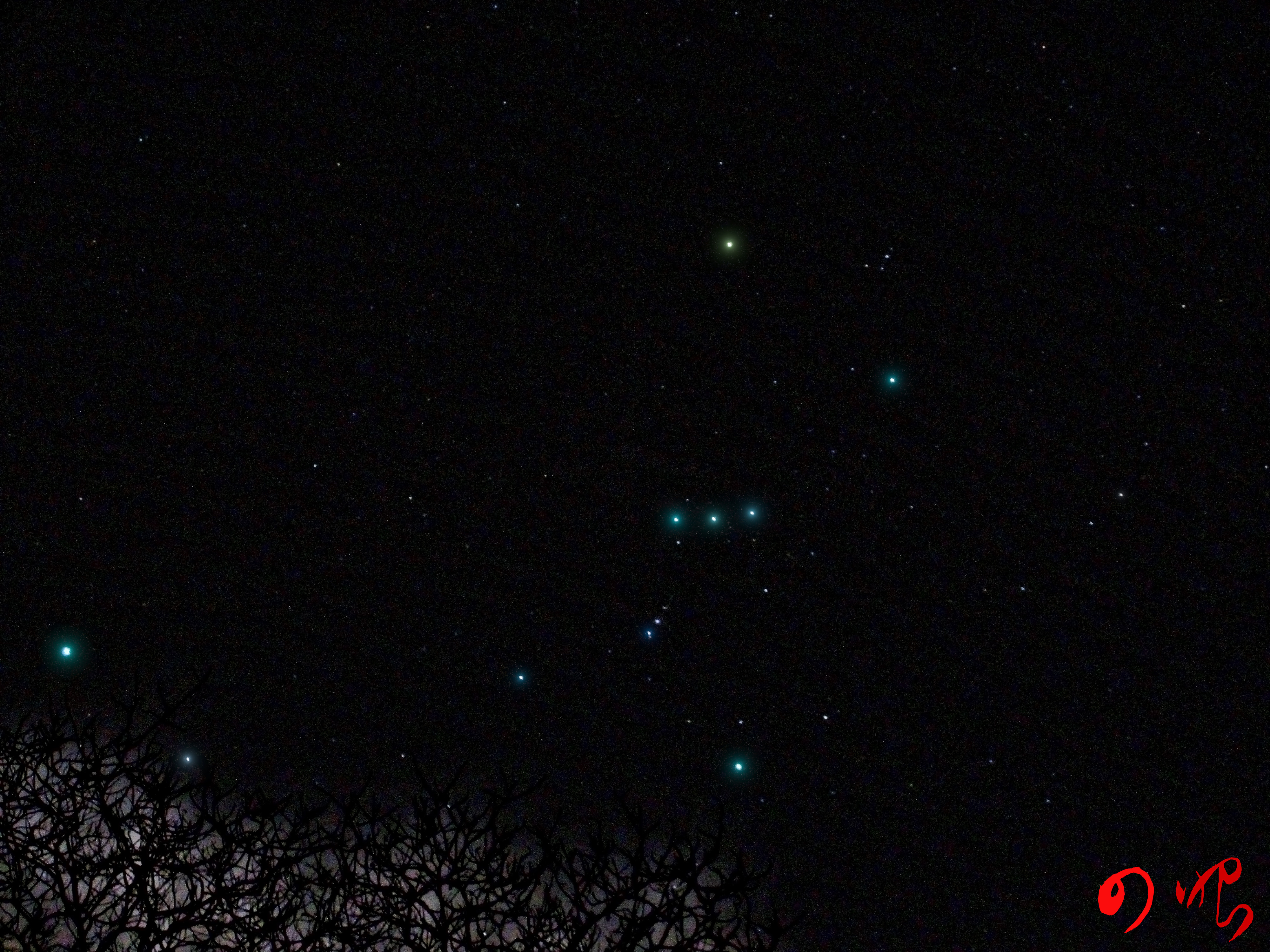 树梢上的星星
