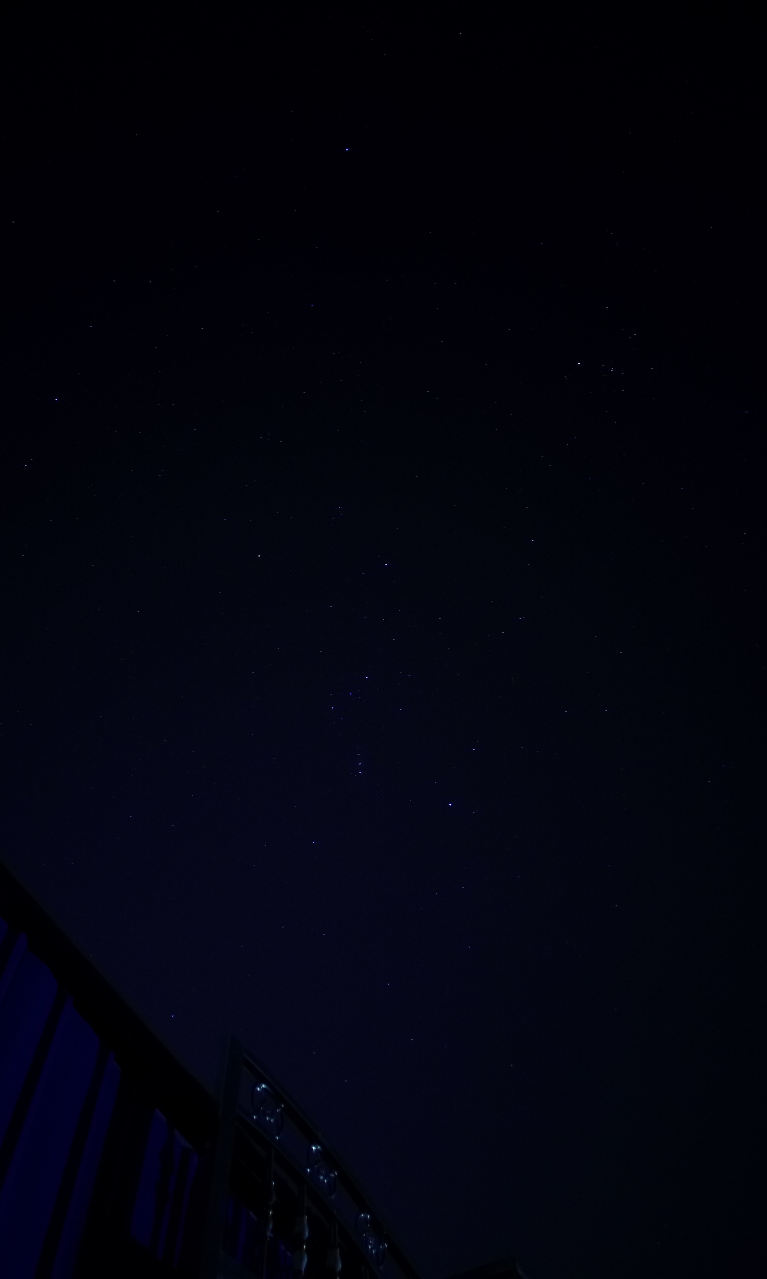 P50219-192829.jpg