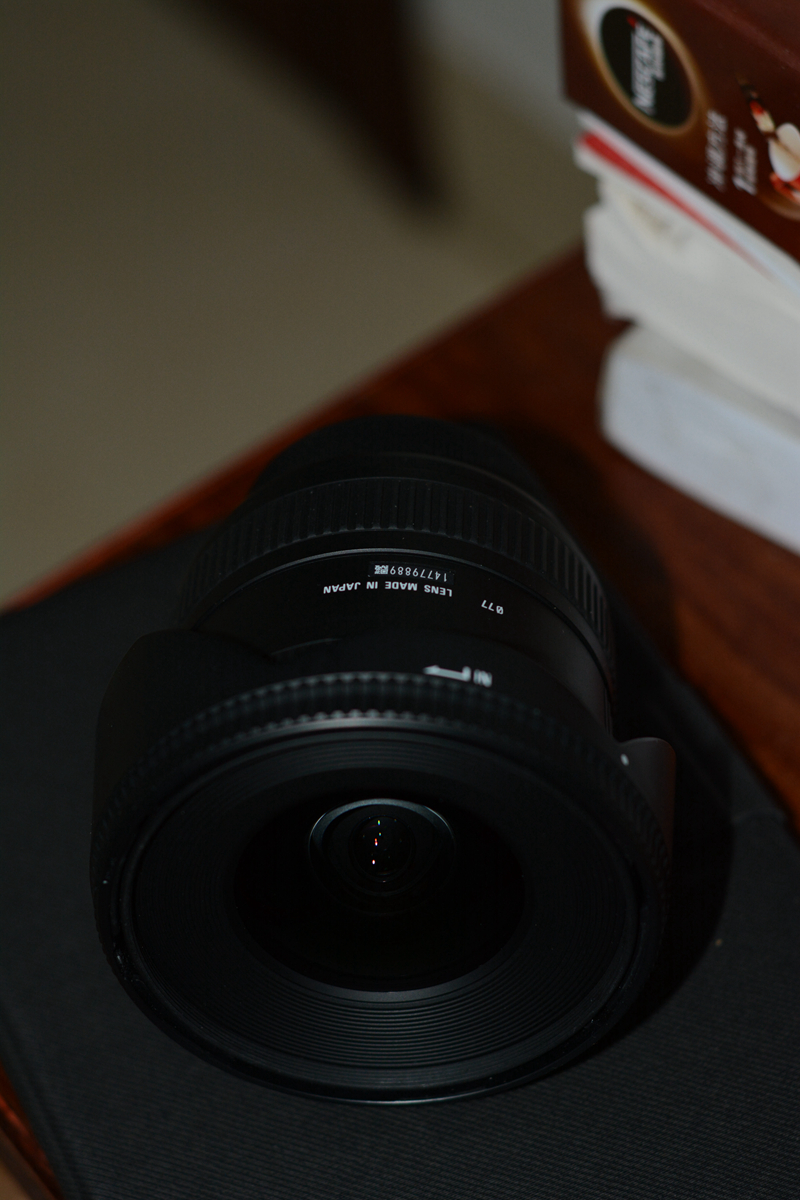 DSC_1036_副本.jpg