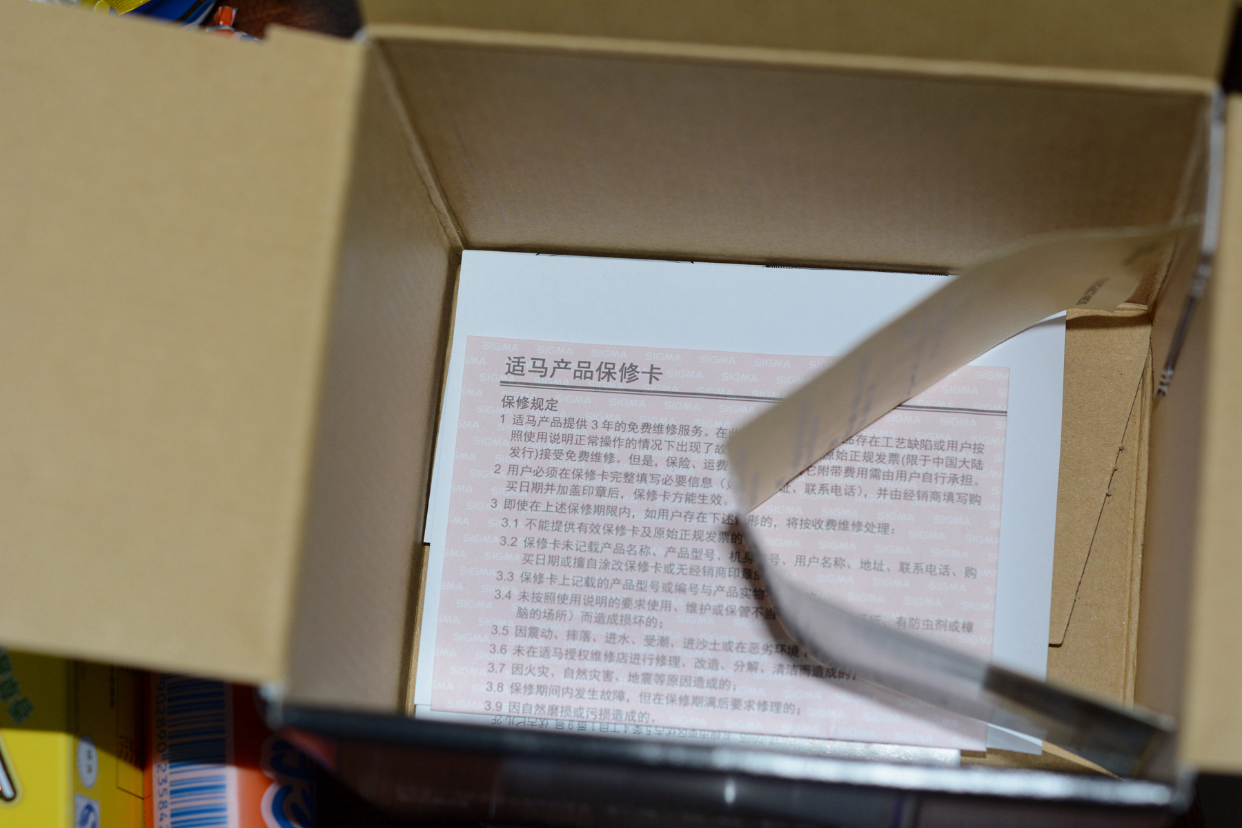 DSC_1041_副本.jpg