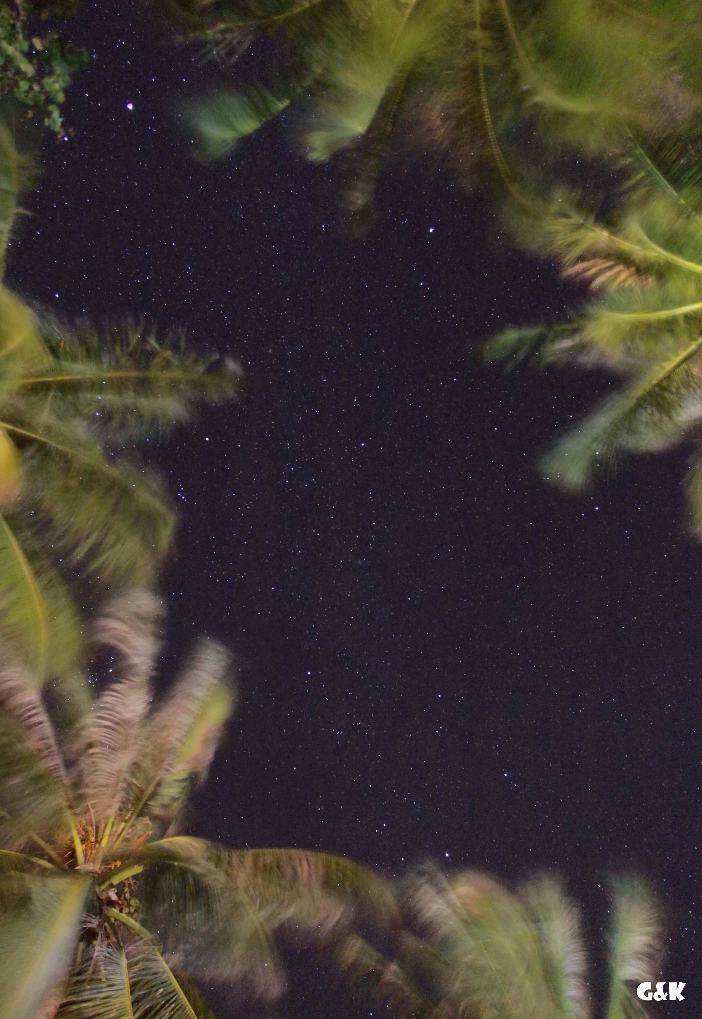 椰林与星空.jpg.jpg