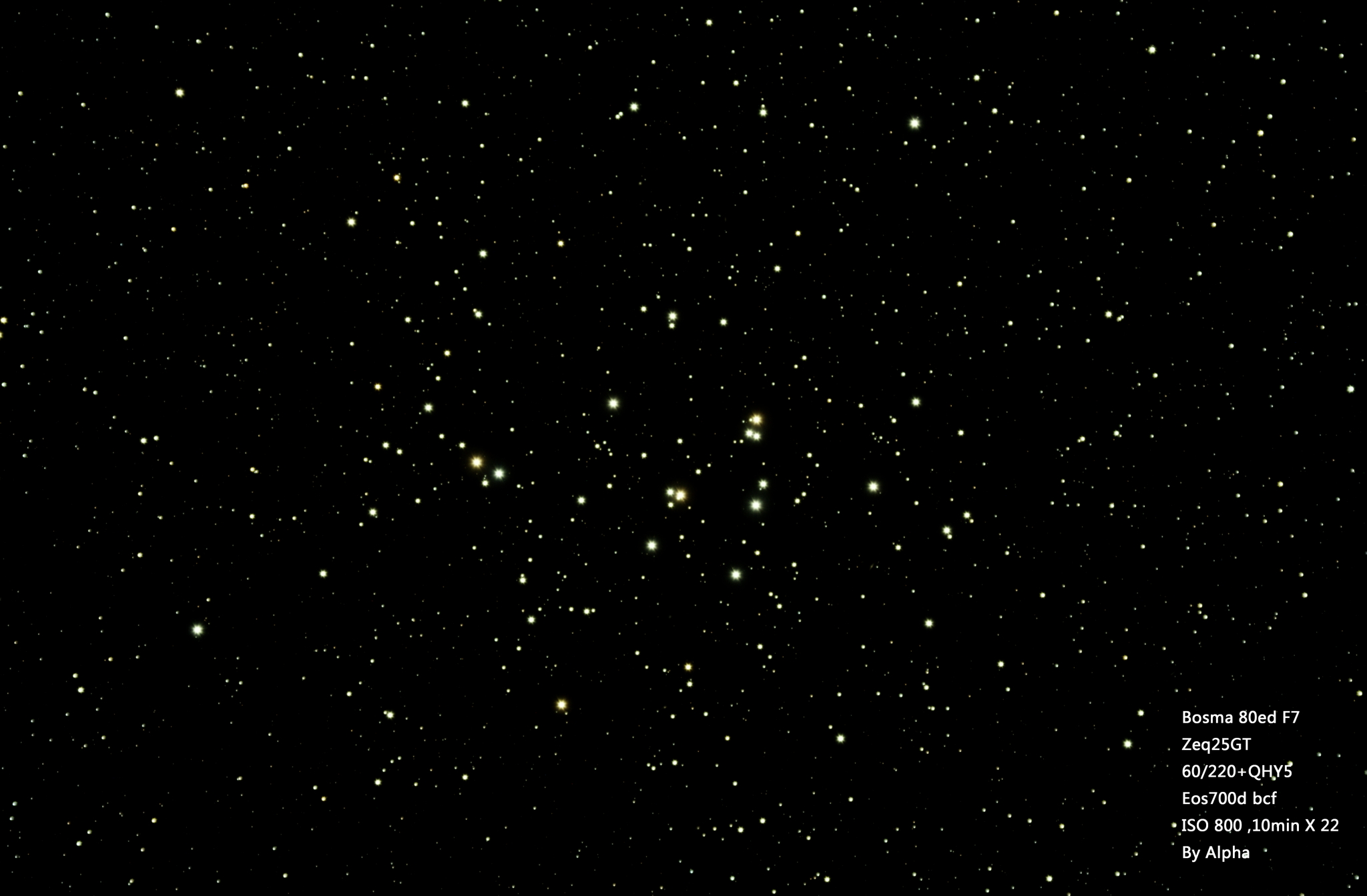 M44-caijian.JPG