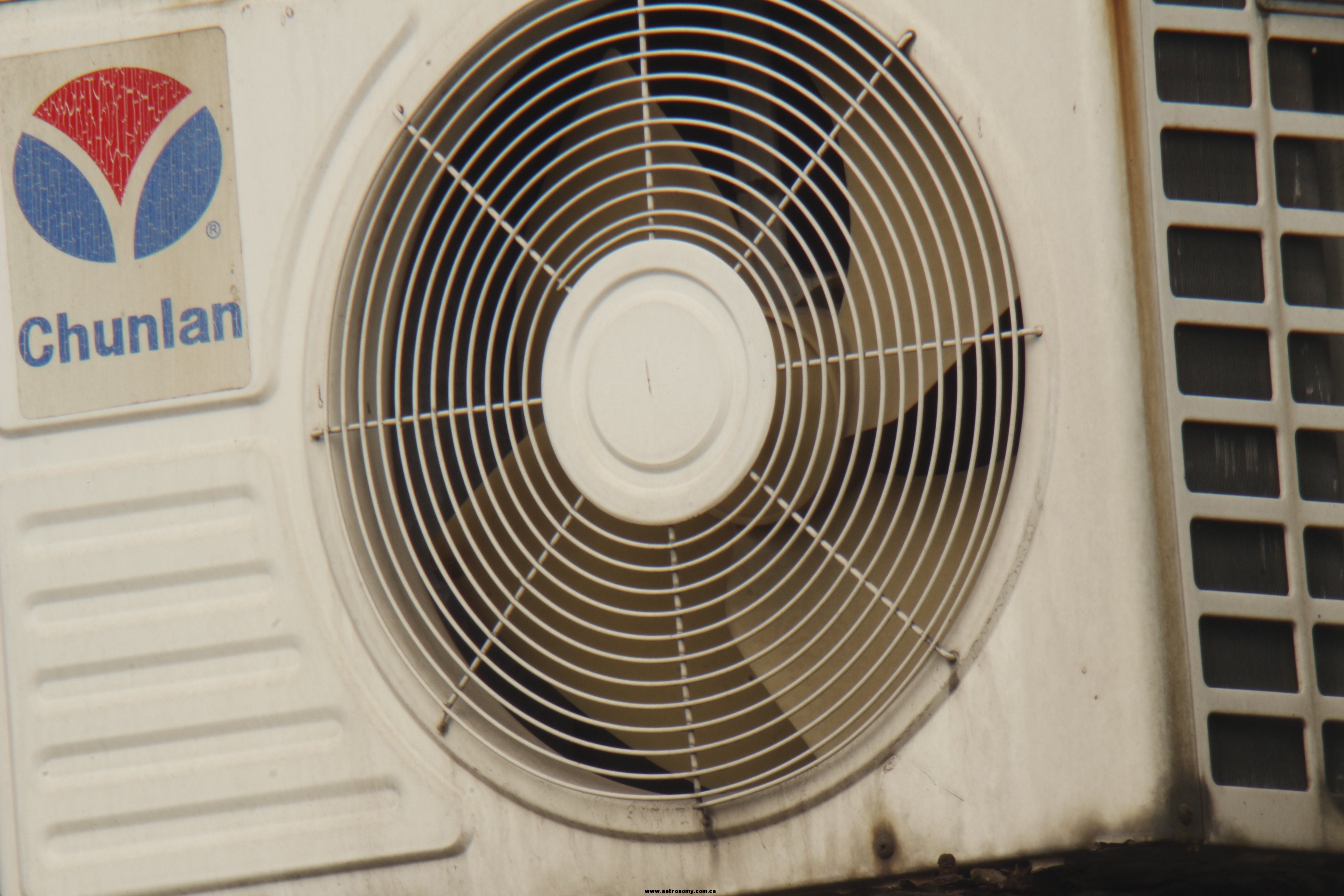 _MG_5695.JPG