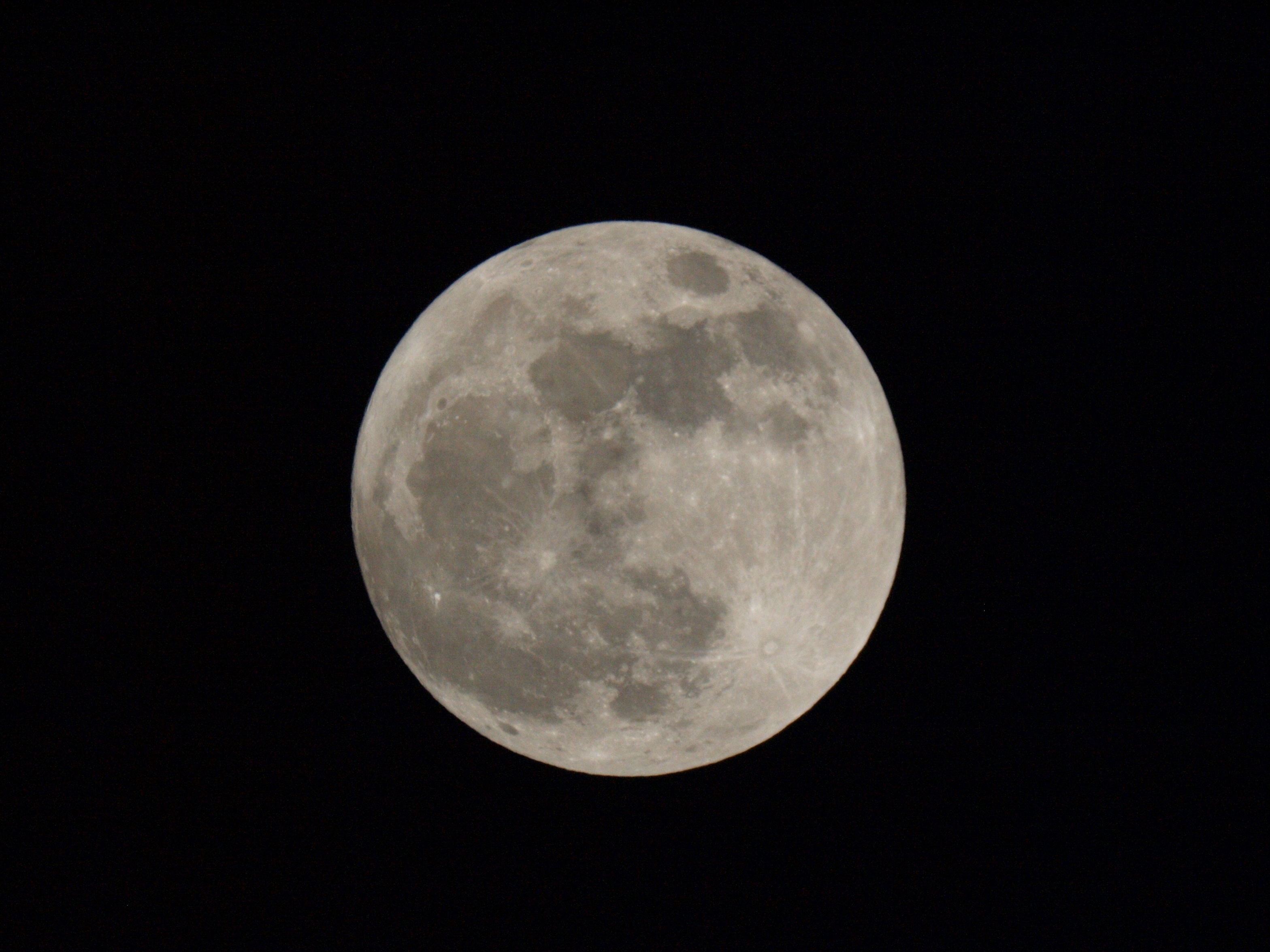 P3054264.JPG