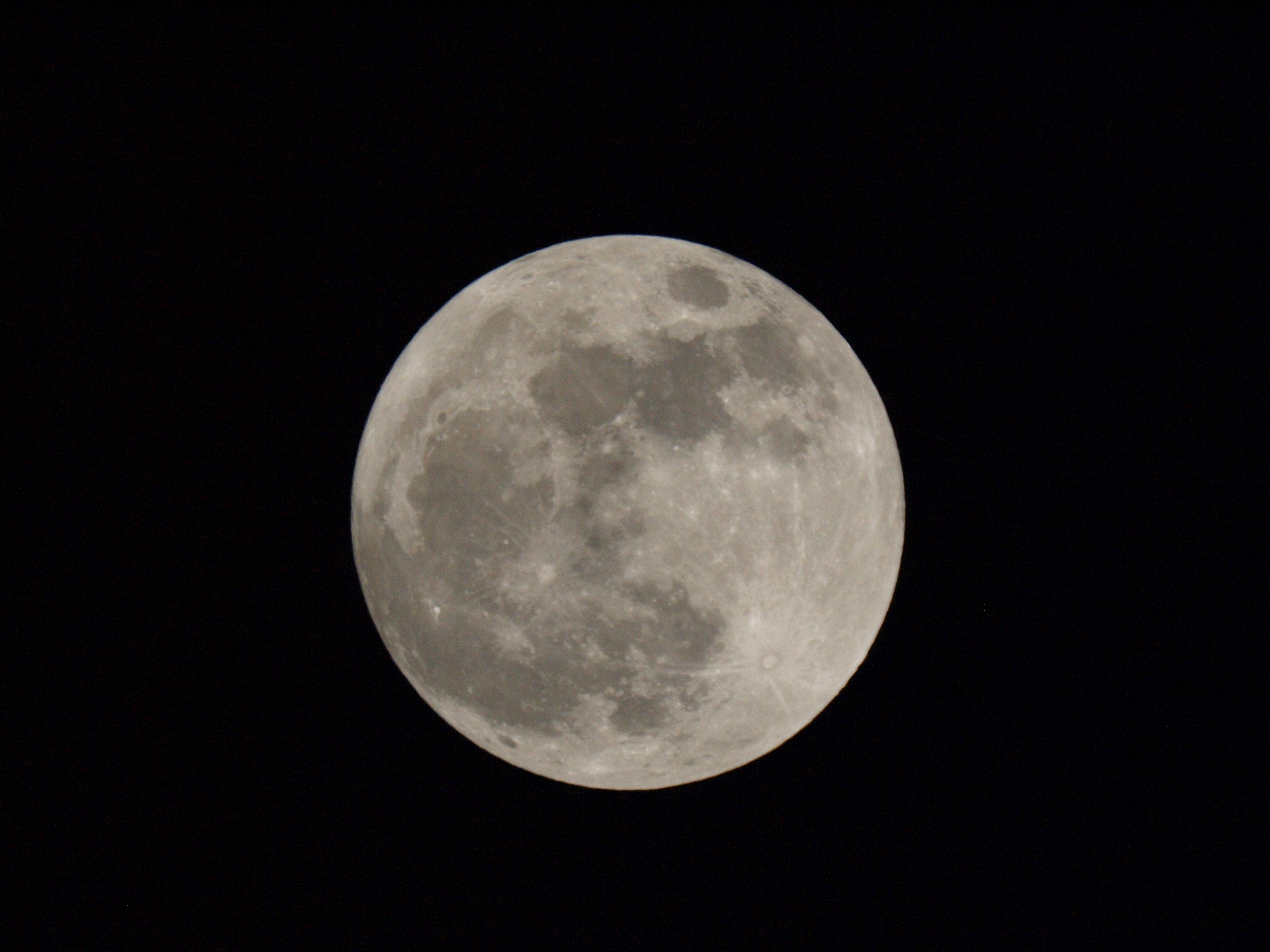 P3054267.JPG
