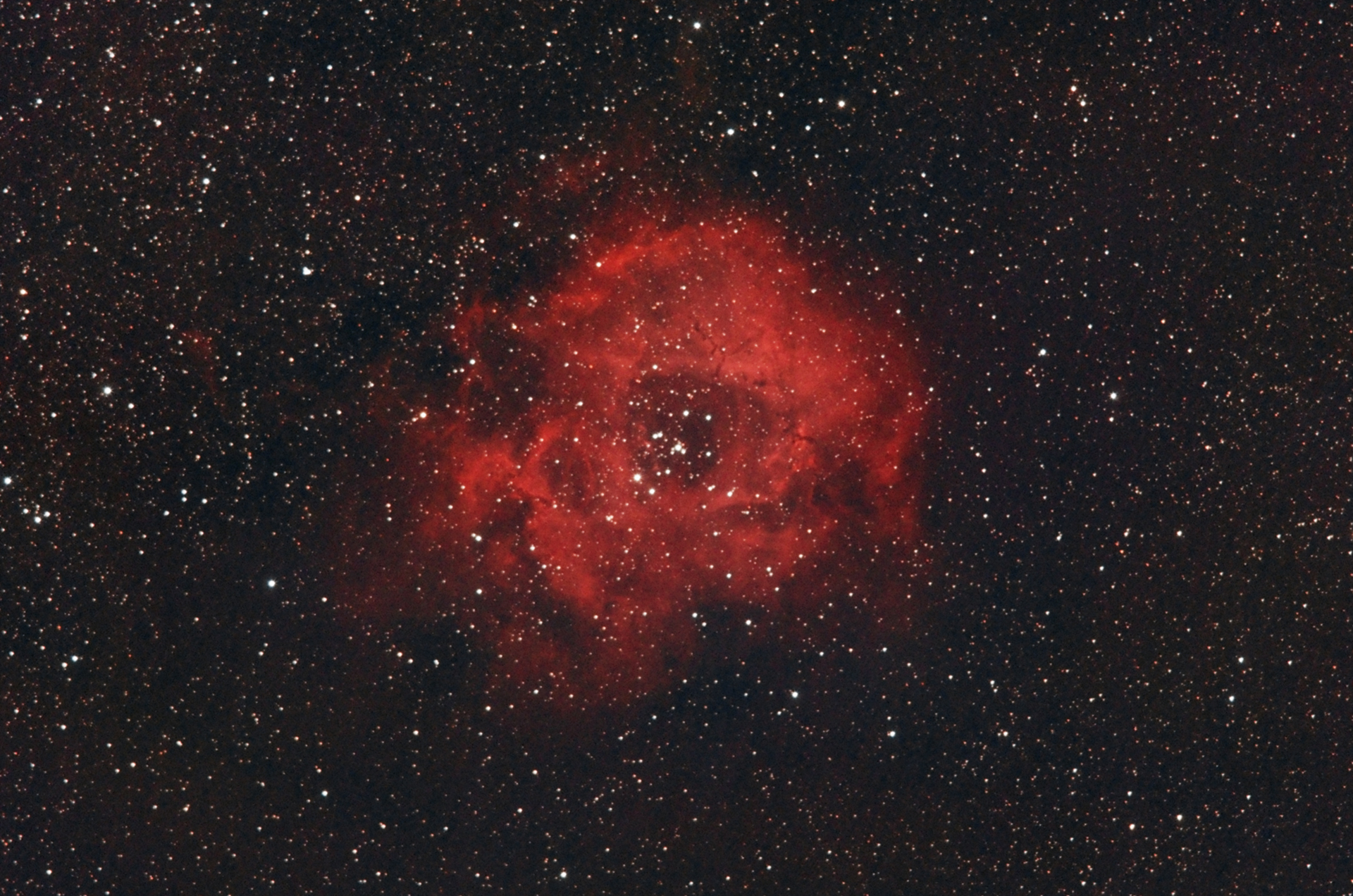 20150308_rosette(NGC2237)_100min.jpg