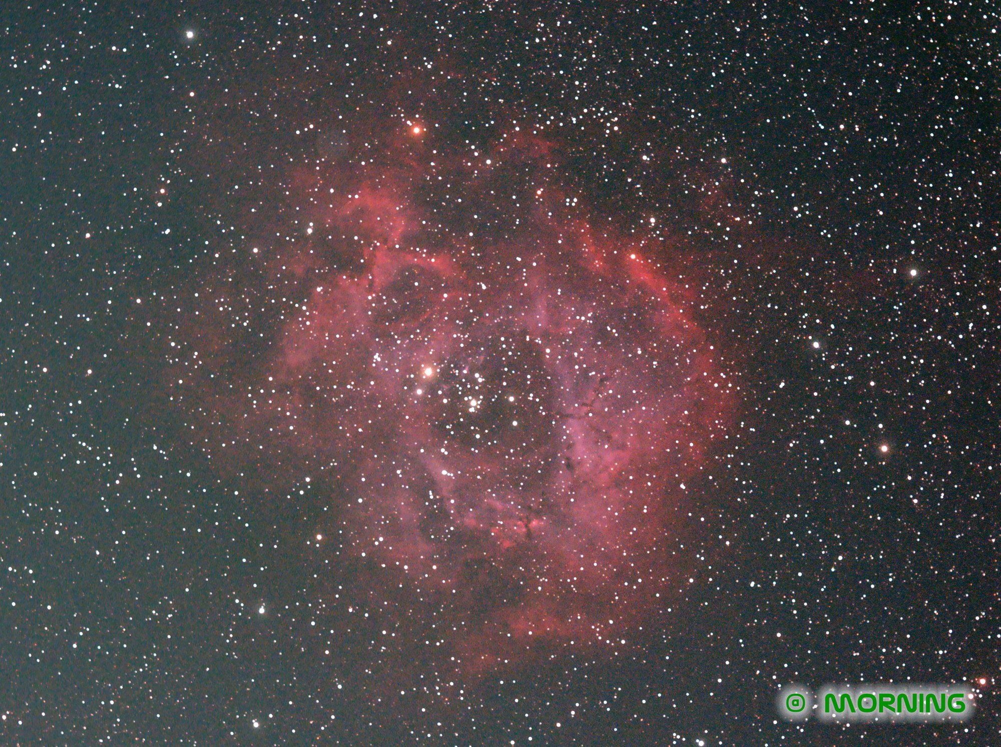 ngc2239-1.jpg
