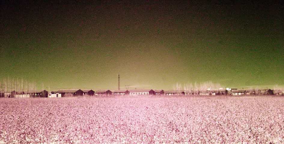 2013-2-4-720红外.jpg