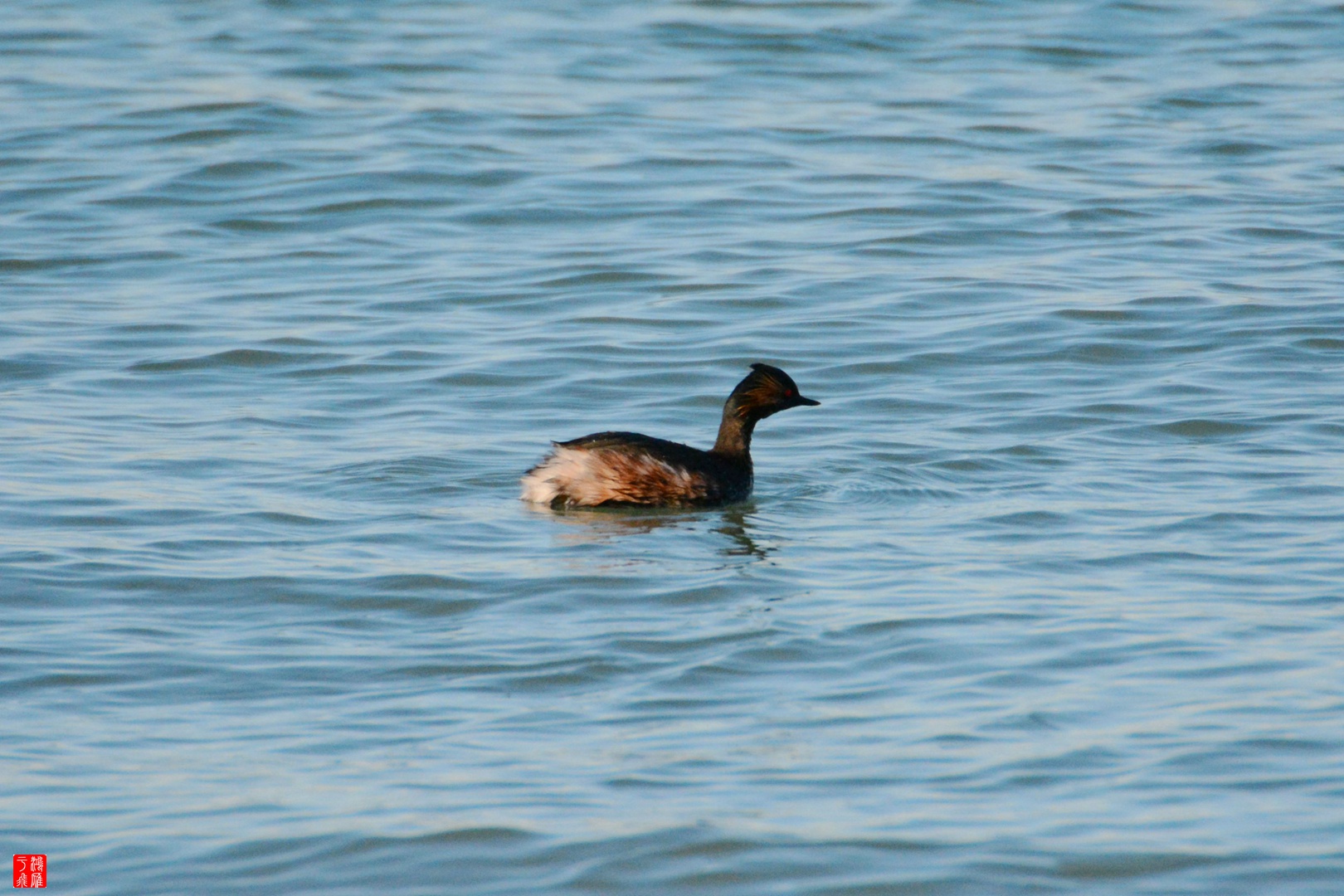 意大利2015-03-06 DSC_3685_副本.jpg